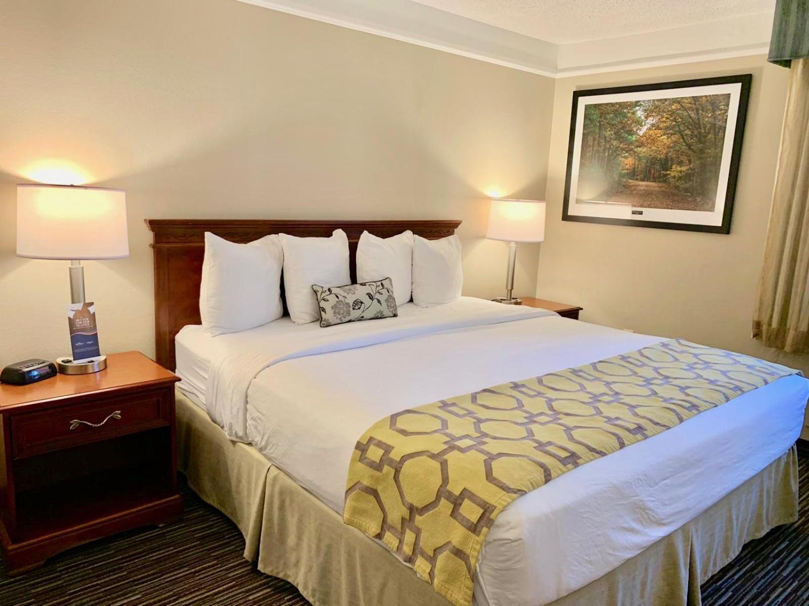 King Room - Disability Access/Non-Smoking - Photo 1