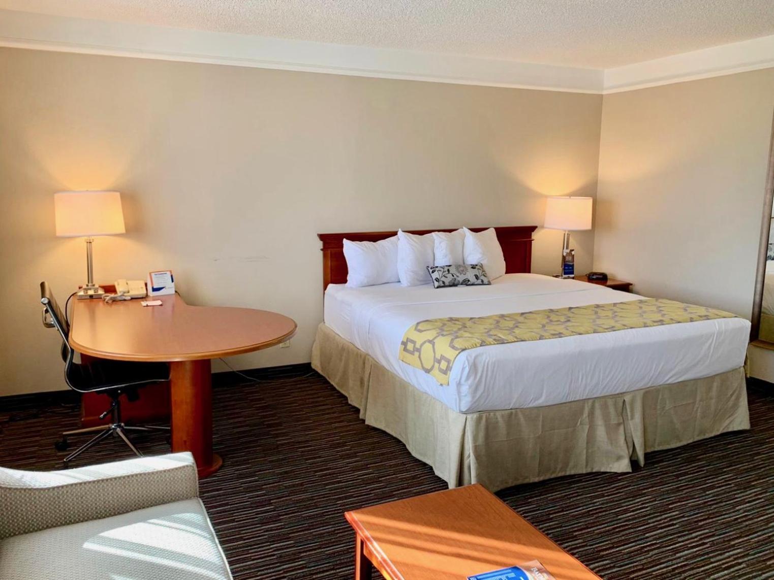 King Suite - Photo 4
