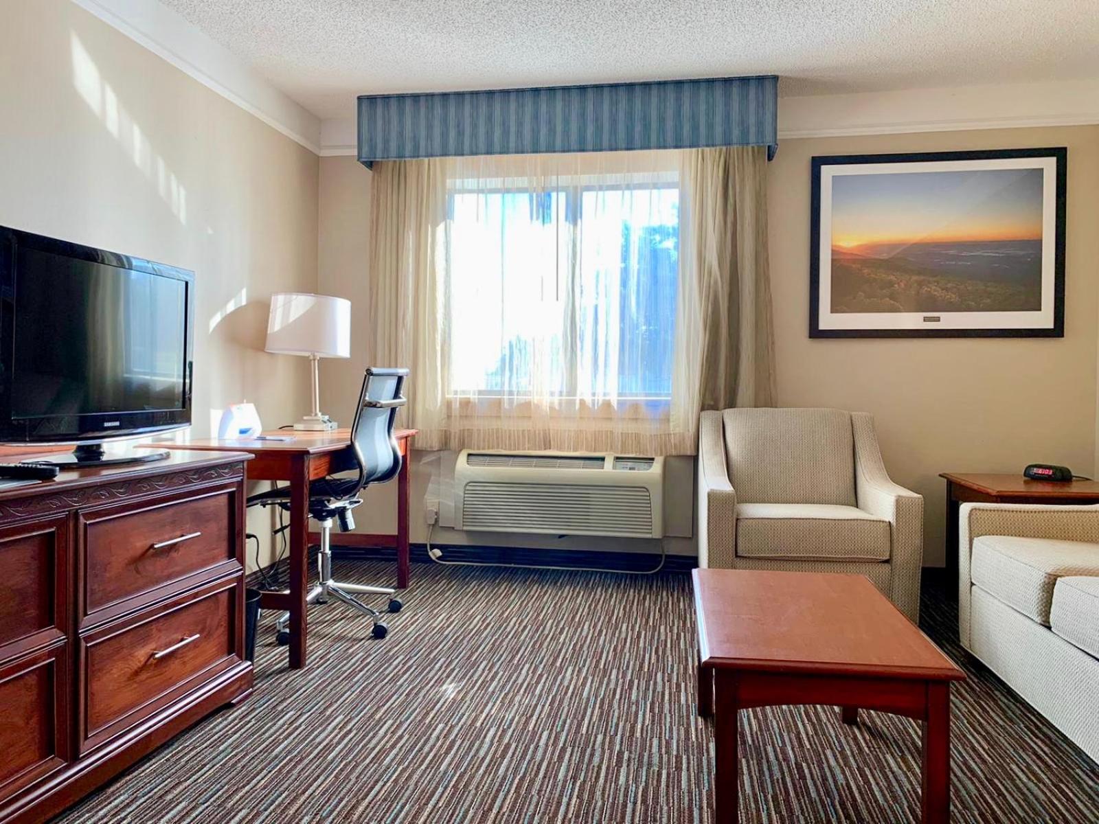 One-Bedroom King Suite - Non-Smoking - Photo 5