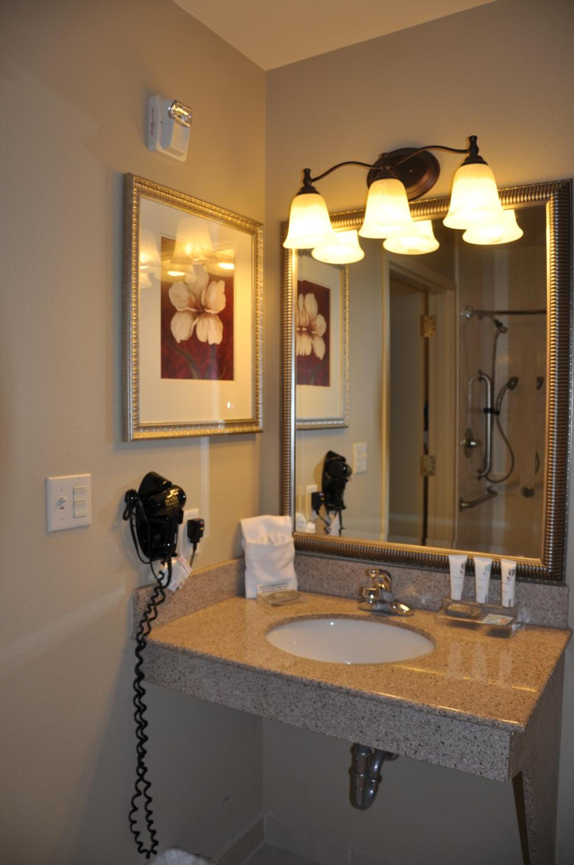 King Room with Roll-in Shower - Disability Access/Non-Smoking - Photo 3