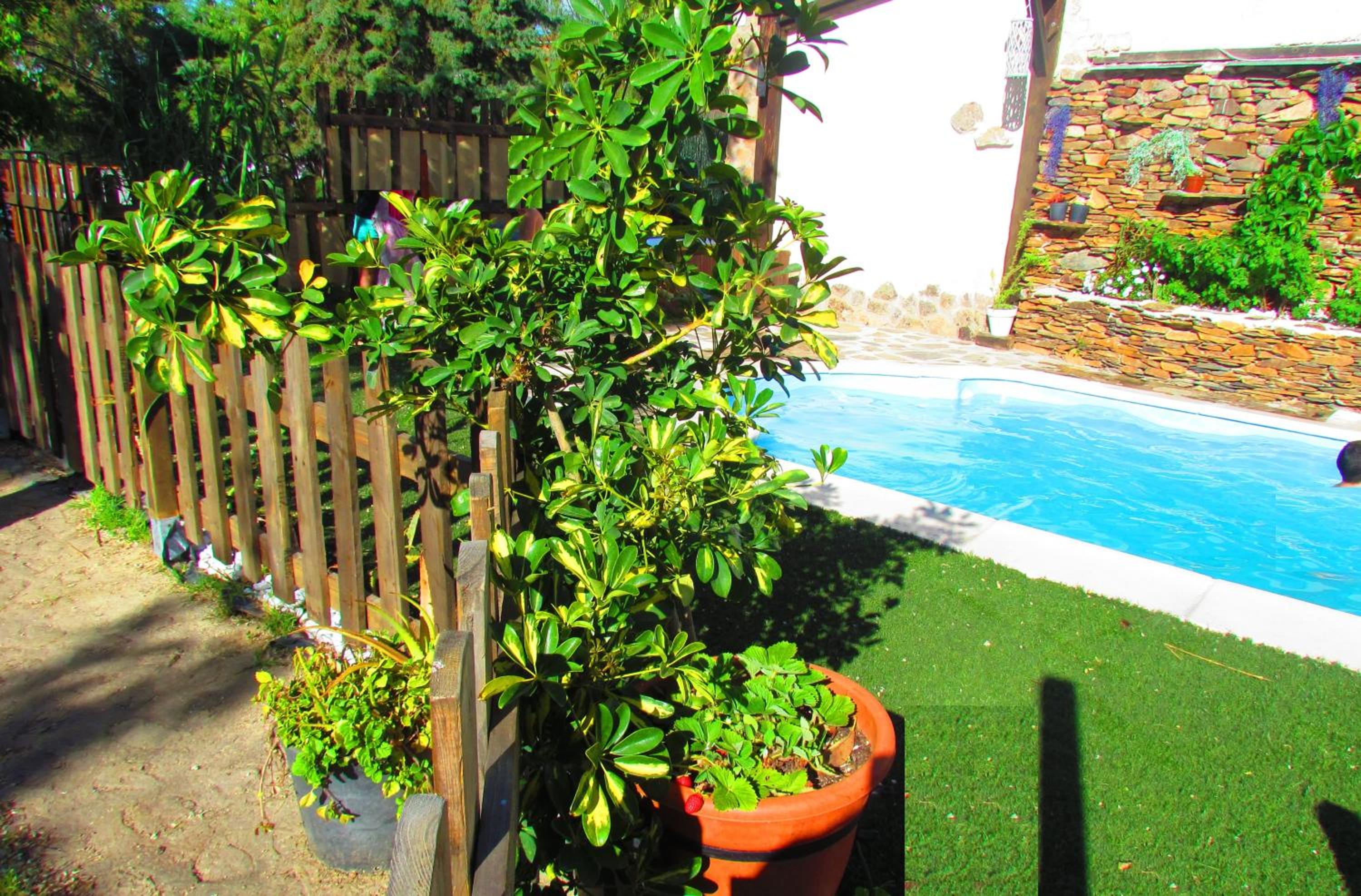 Apartment with Terrace - Photo 3