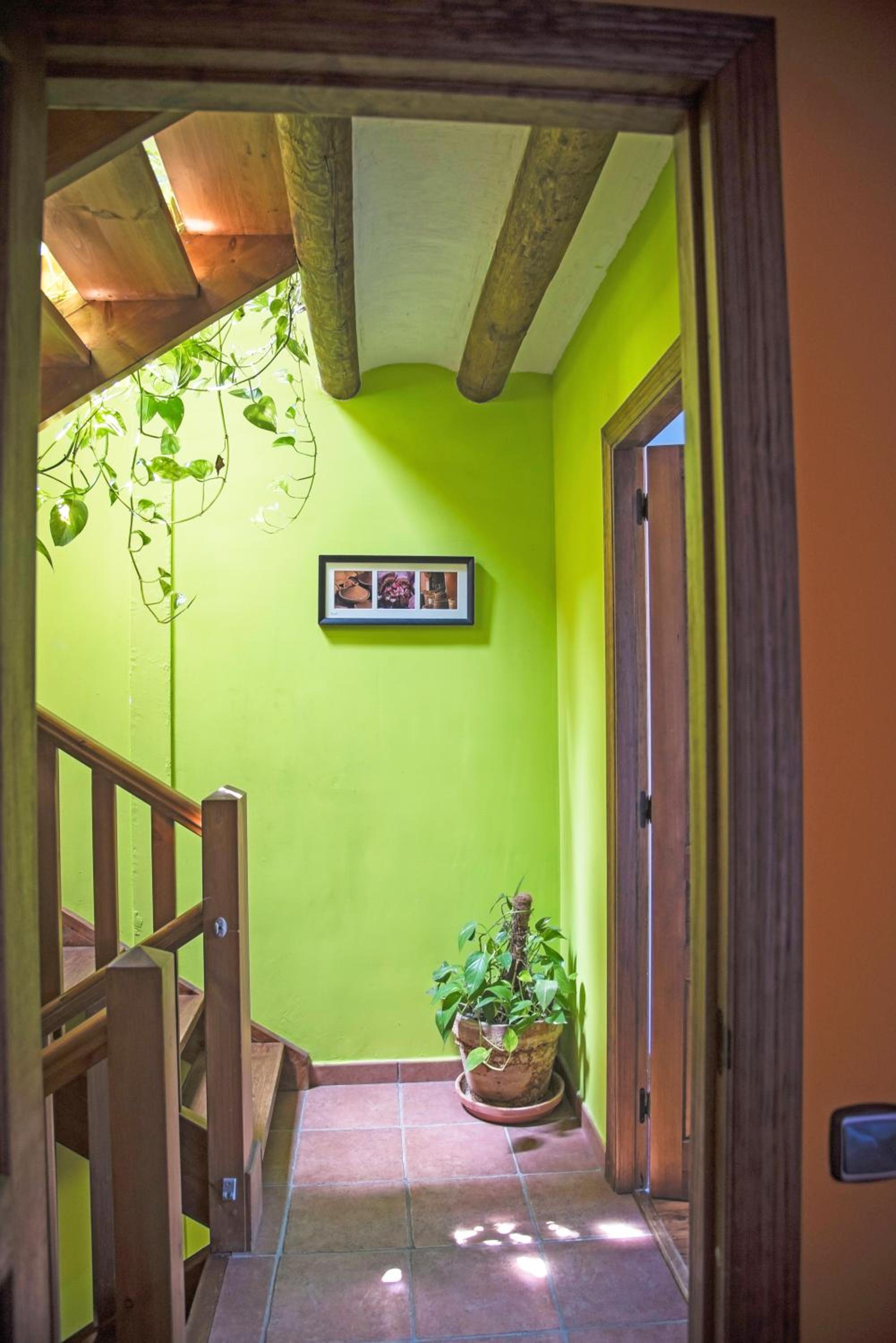 Vacation Home photo 2