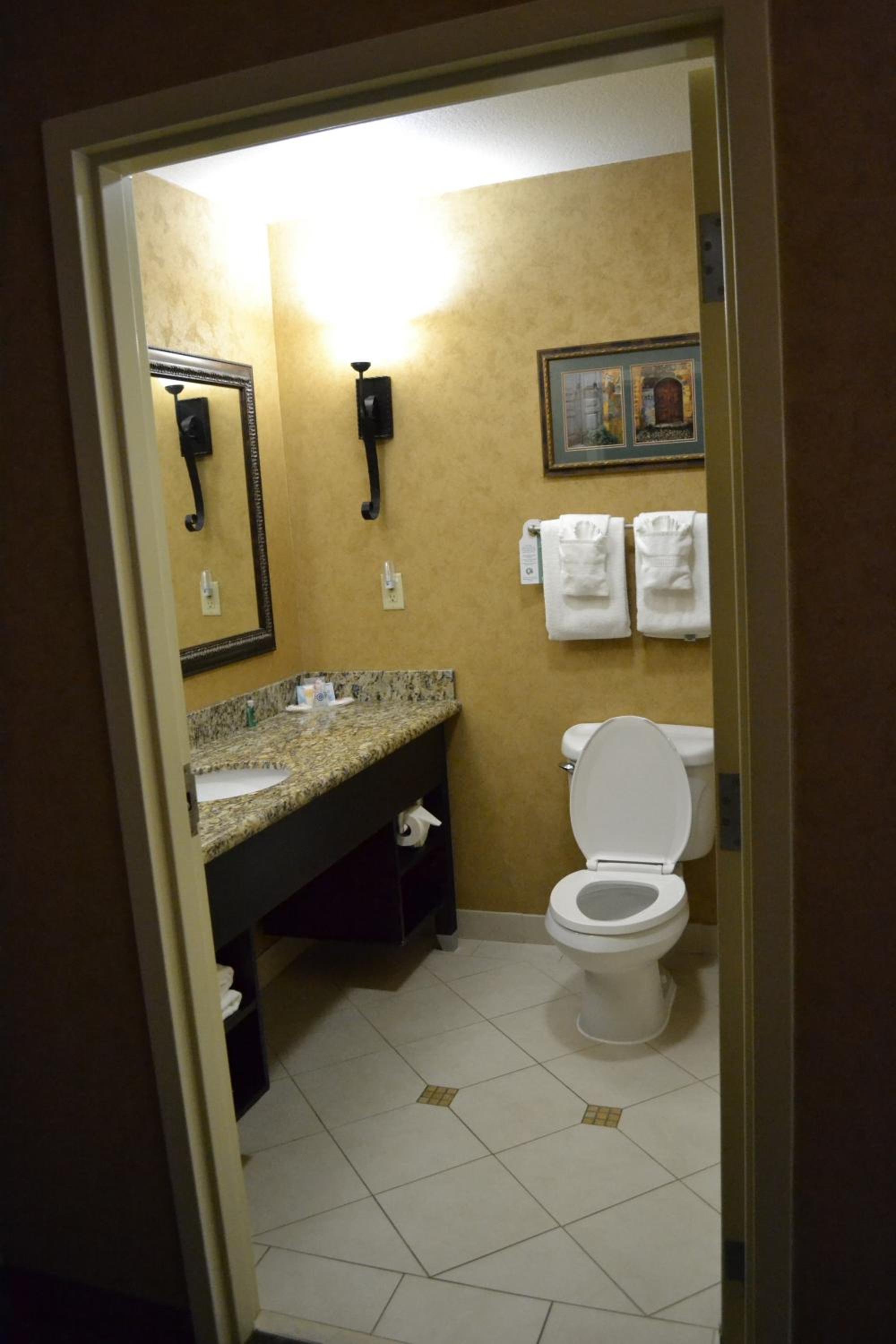 King Suite with Sofa-Bed - Non-Smoking - Photo 4