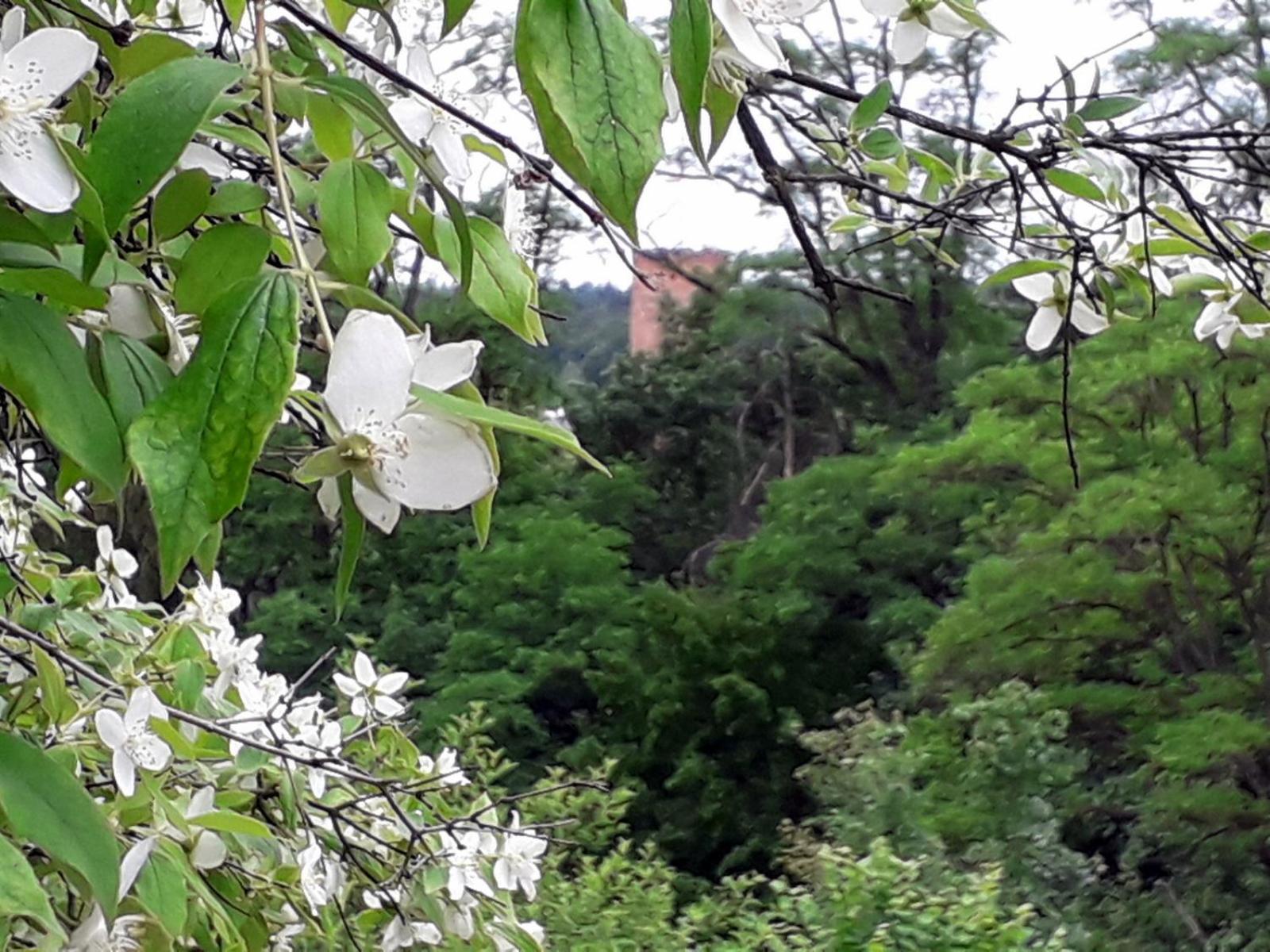 Villa photo 2