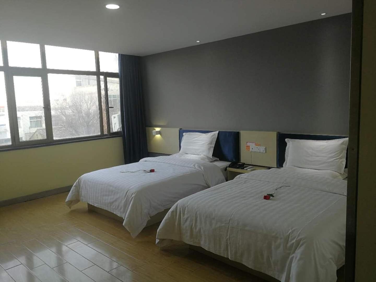 Light Twin Room photo 2