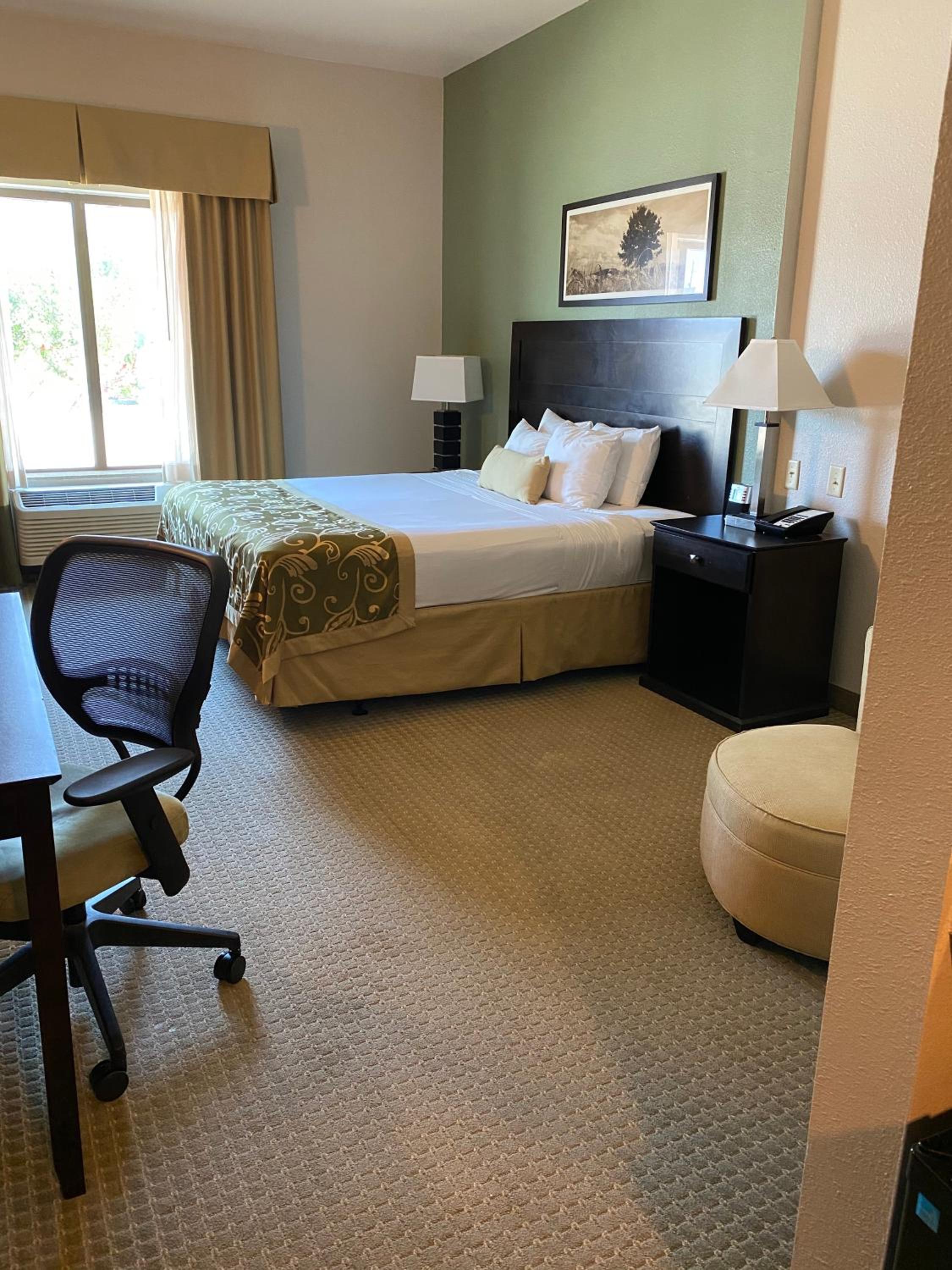 King Room With Roll-In Shower - Mobility/Hearing Accessible - Non-Smoking