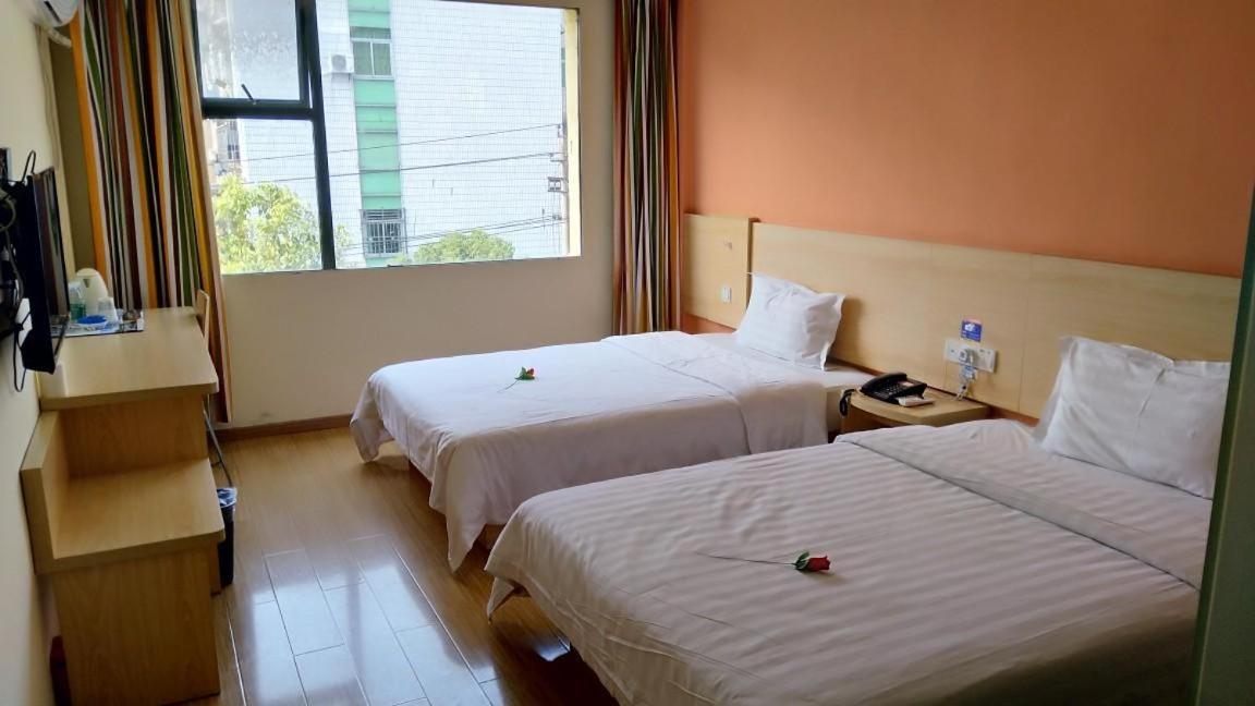 Comfortable Twin Room photo 1