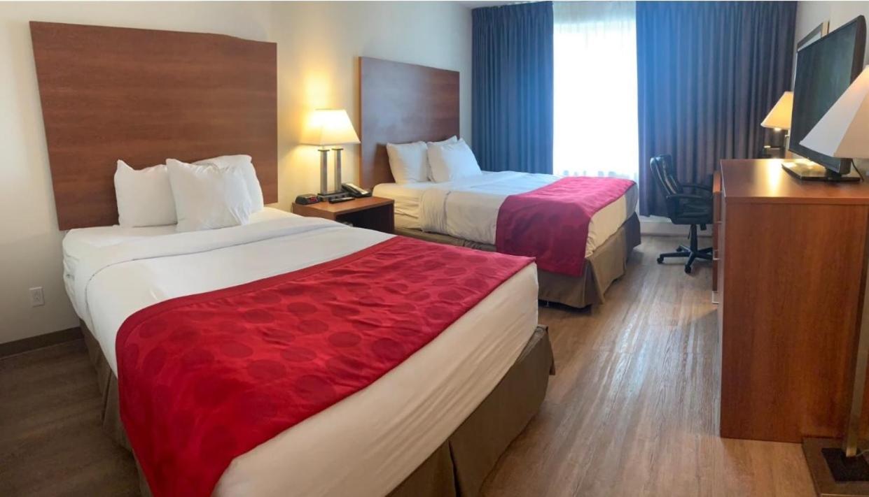 Queen Room with Two Queen Beds - Non-Smoking - Photo 4