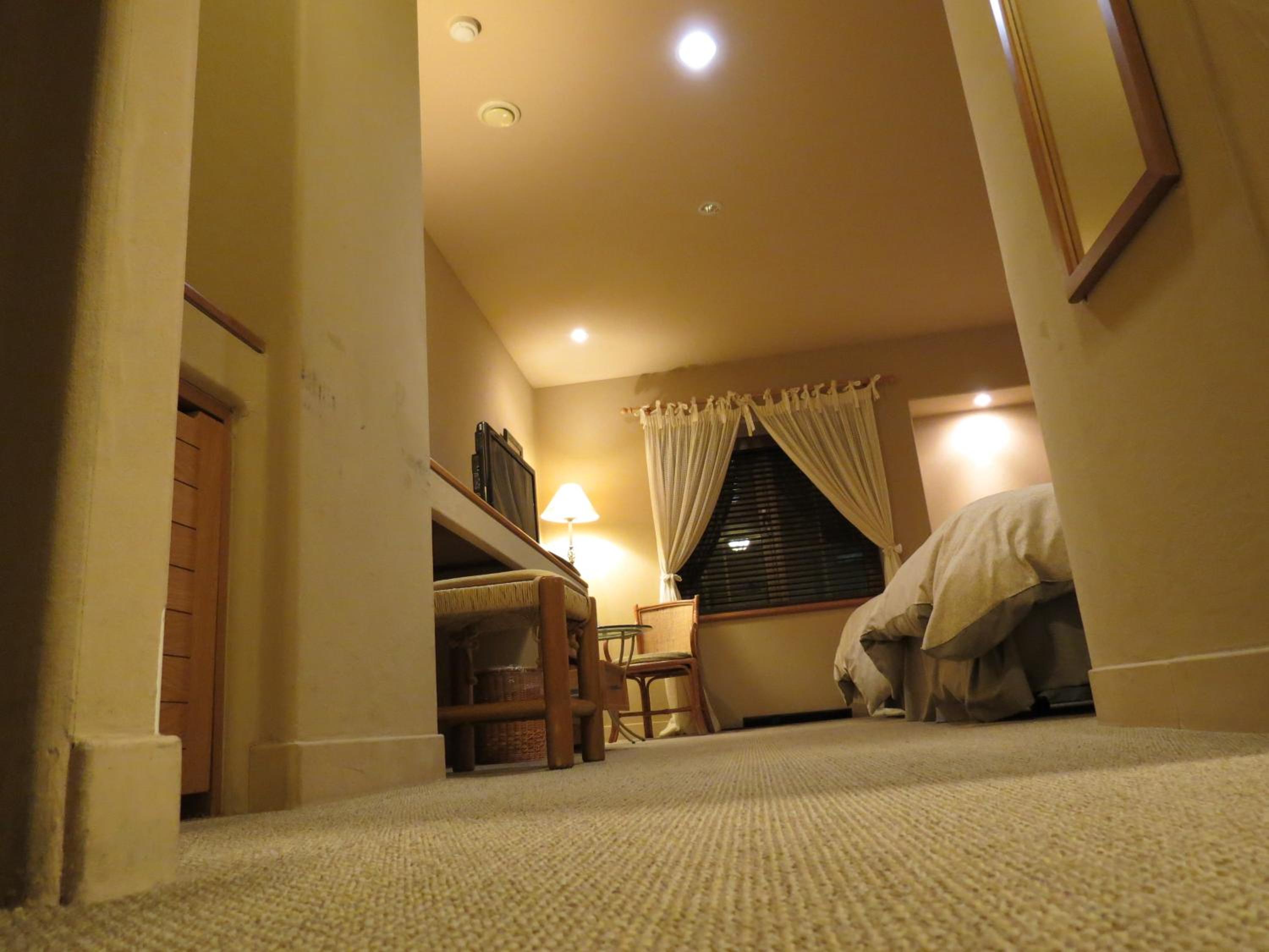 Twin Room photo 3