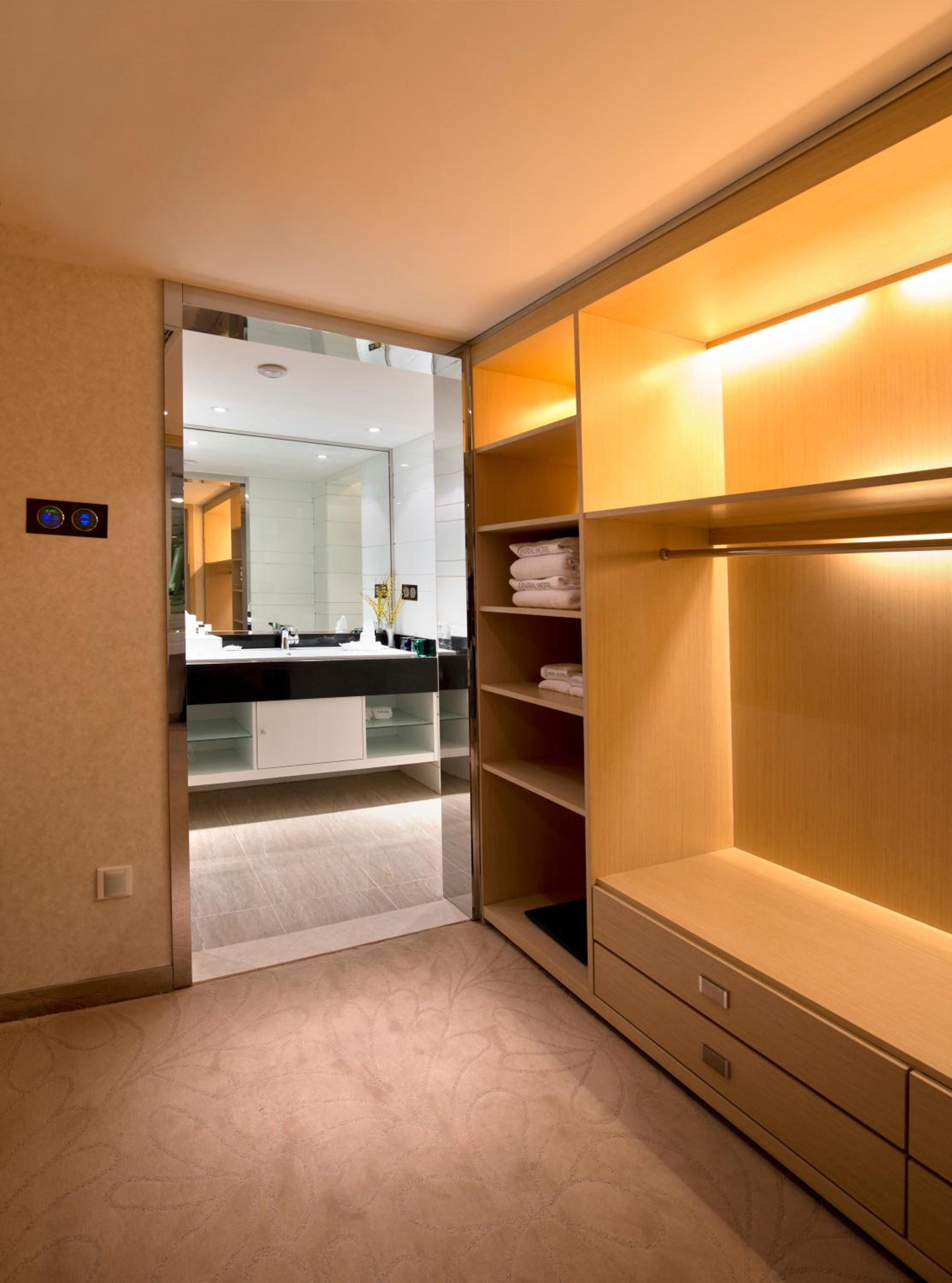 Deluxe Suite with Living Room - Photo 6