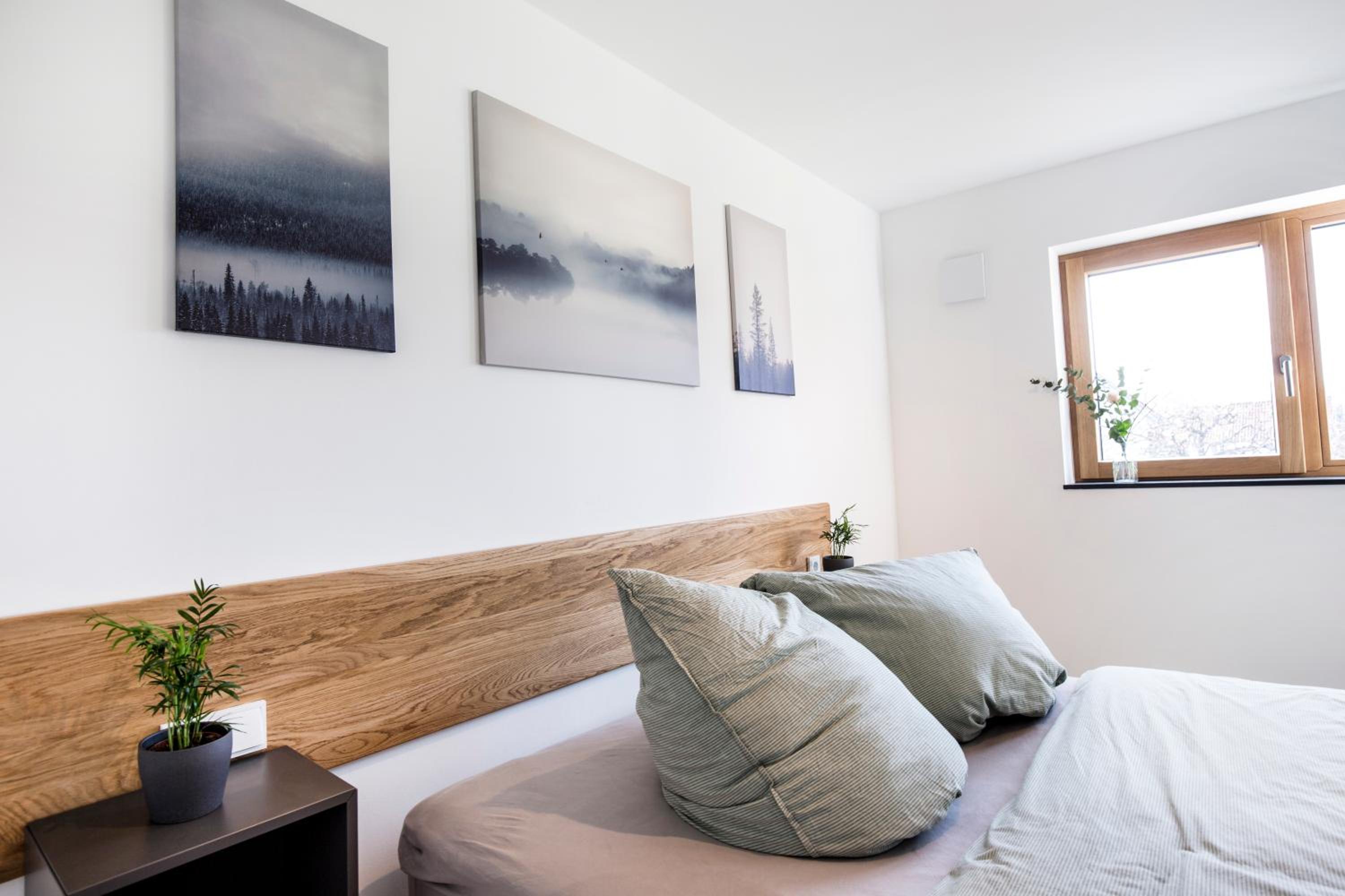 One-Bedroom Apartment photo 1
