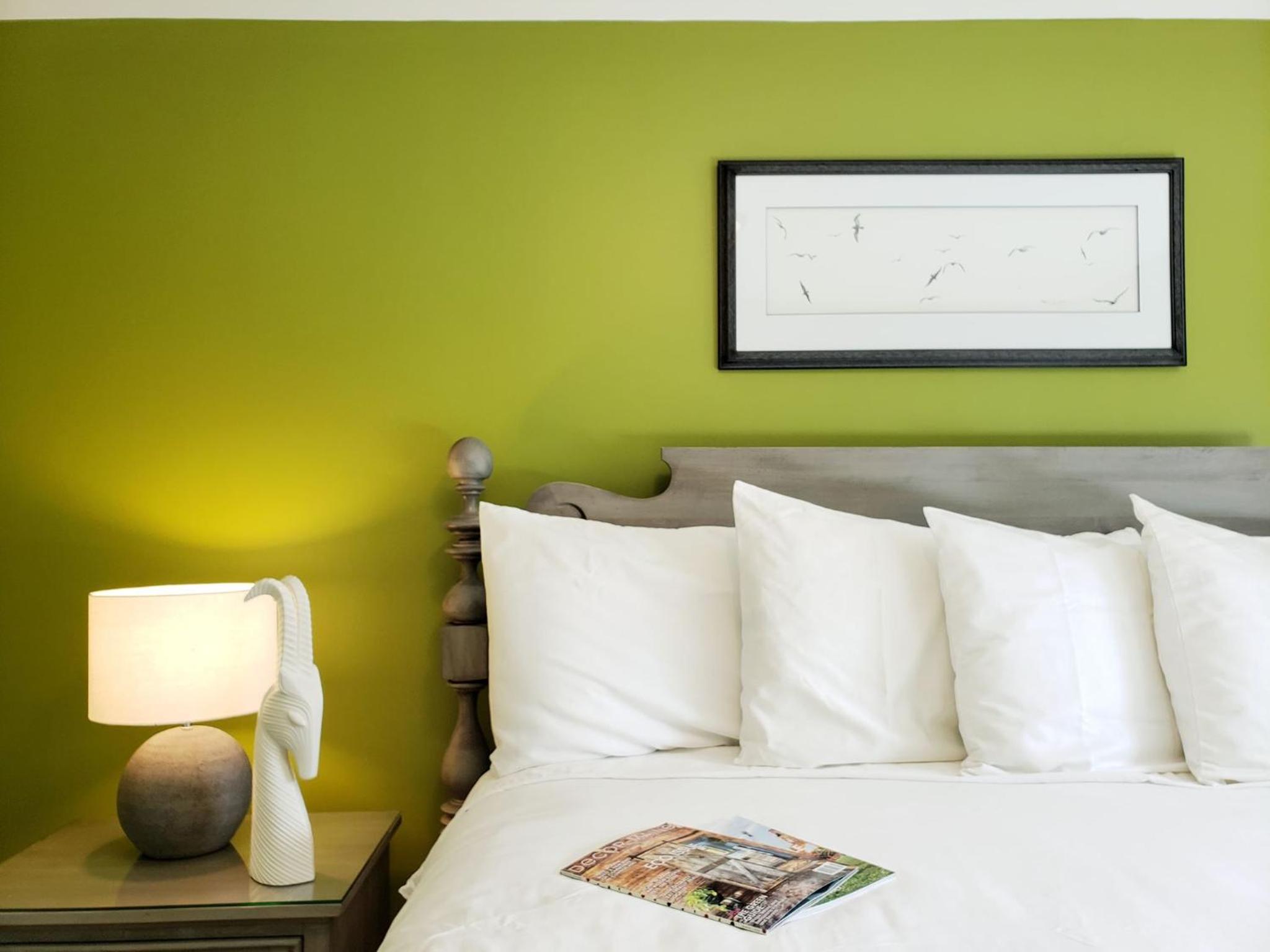 Deluxe King Suite photo 1