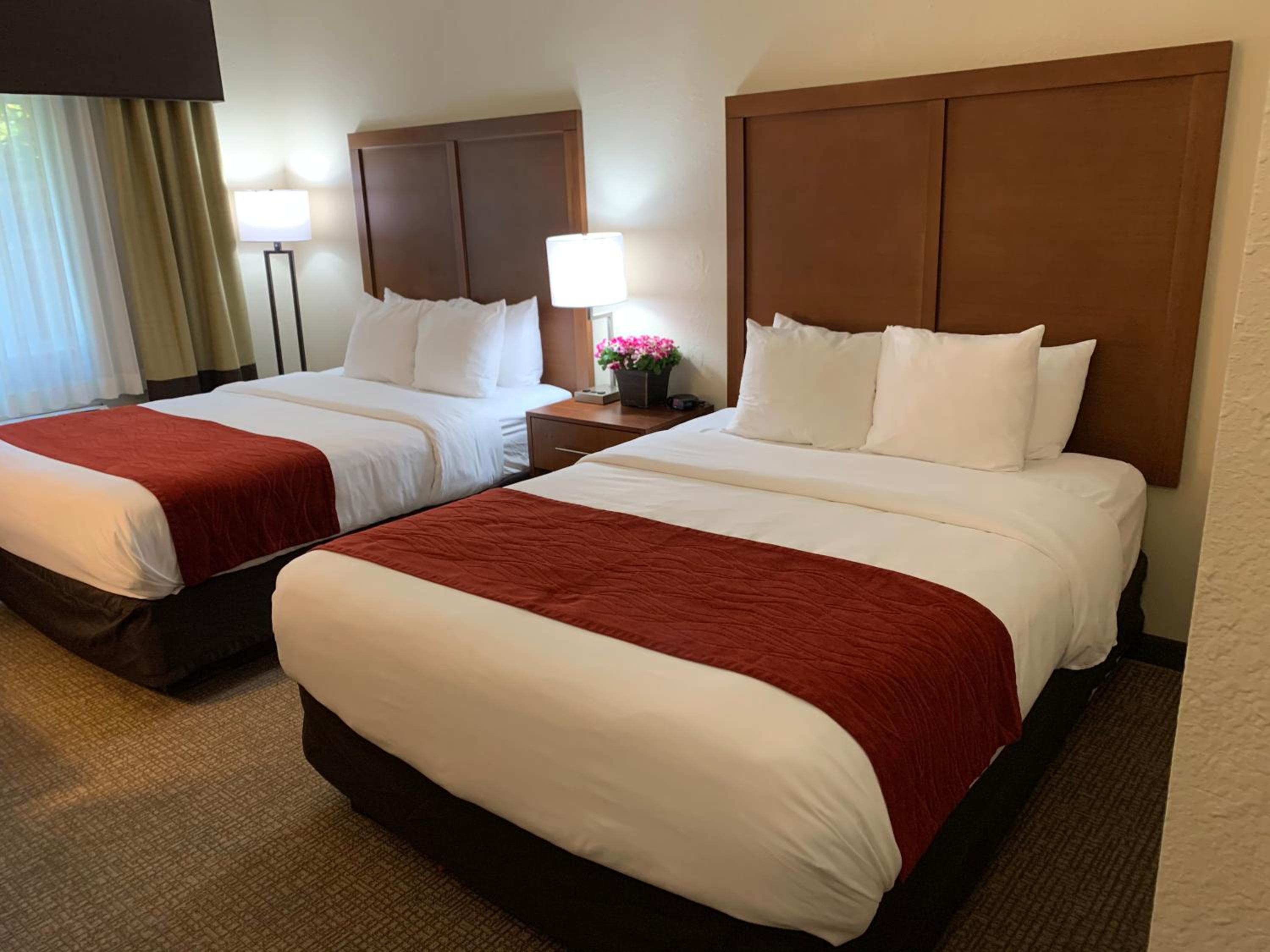 Queen Room with Two Queen Beds - Accessible/Non-Smoking  - Photo 1