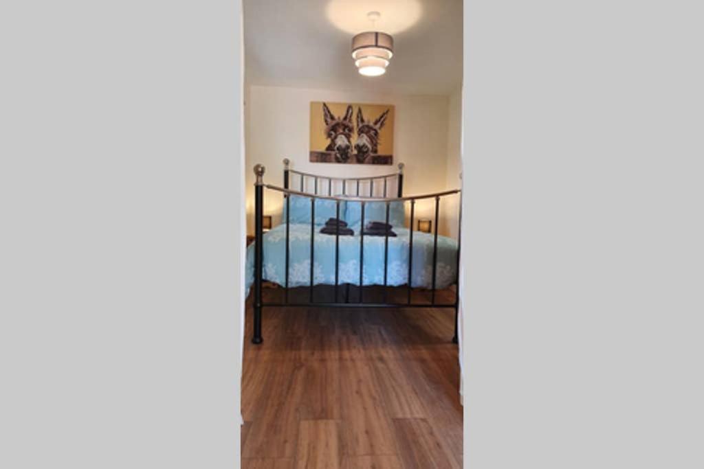 One-Bedroom Apartment - Photo 1