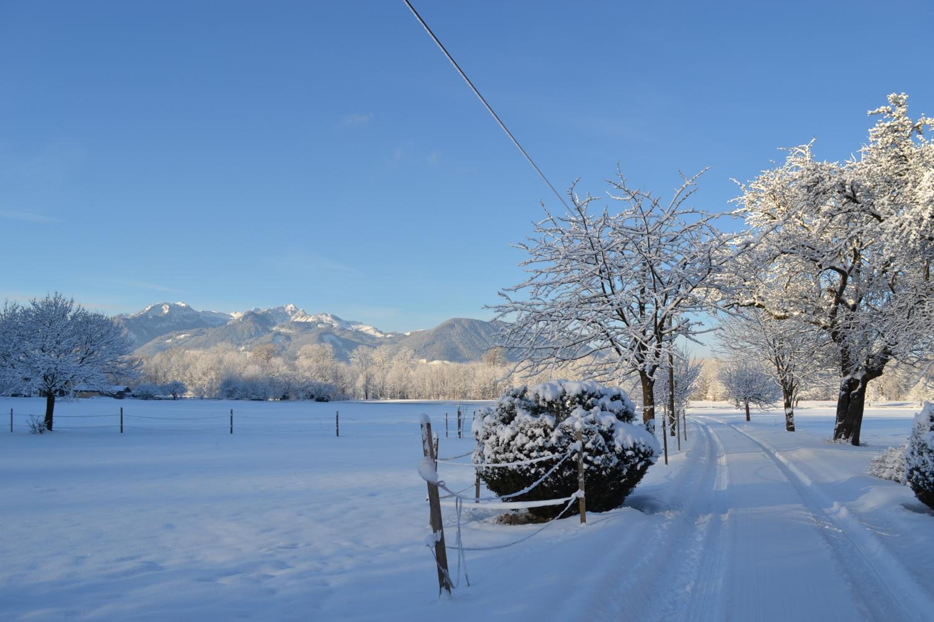 Chalet photo 2
