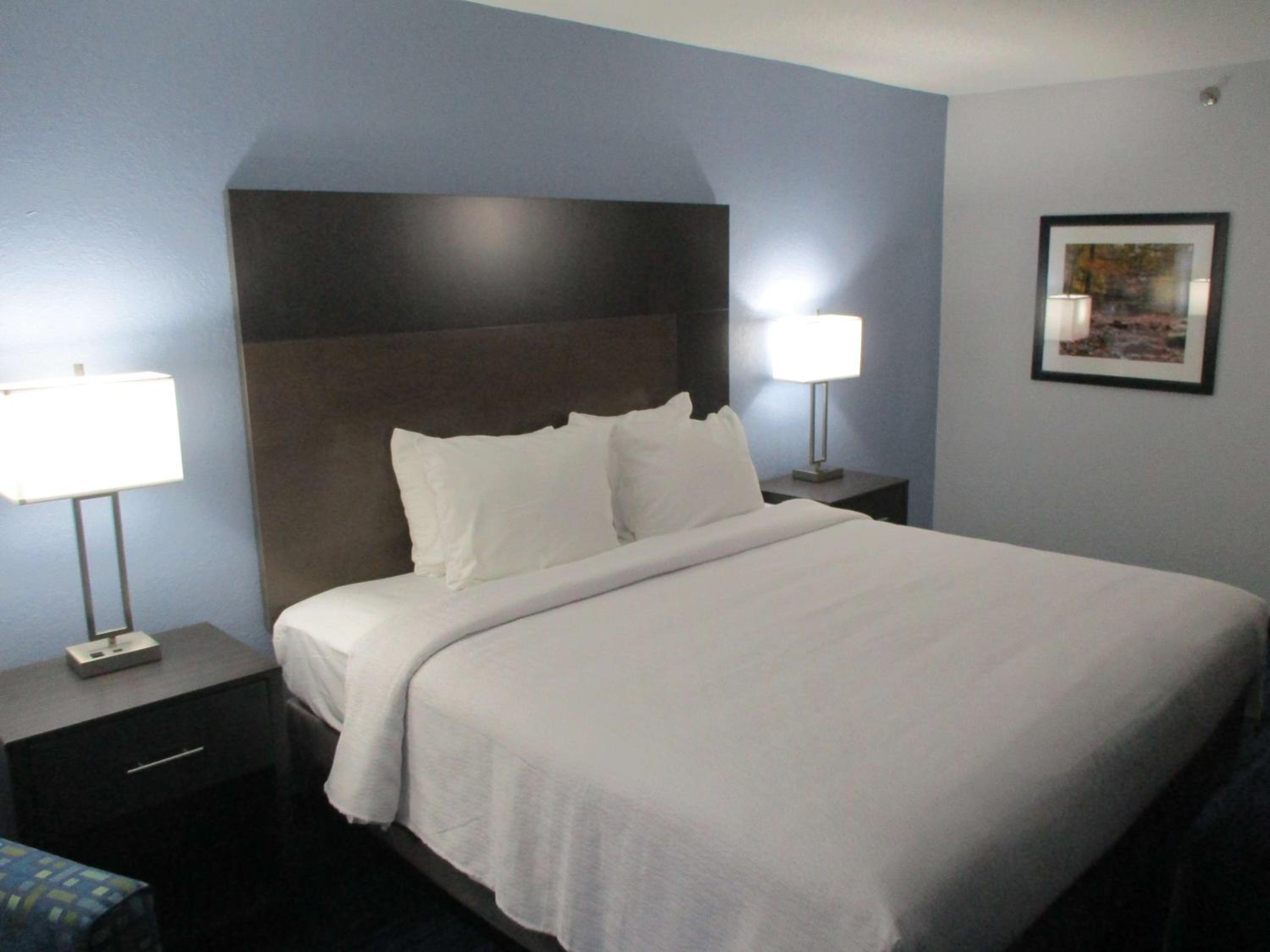 King Room - Disability Access photo 1