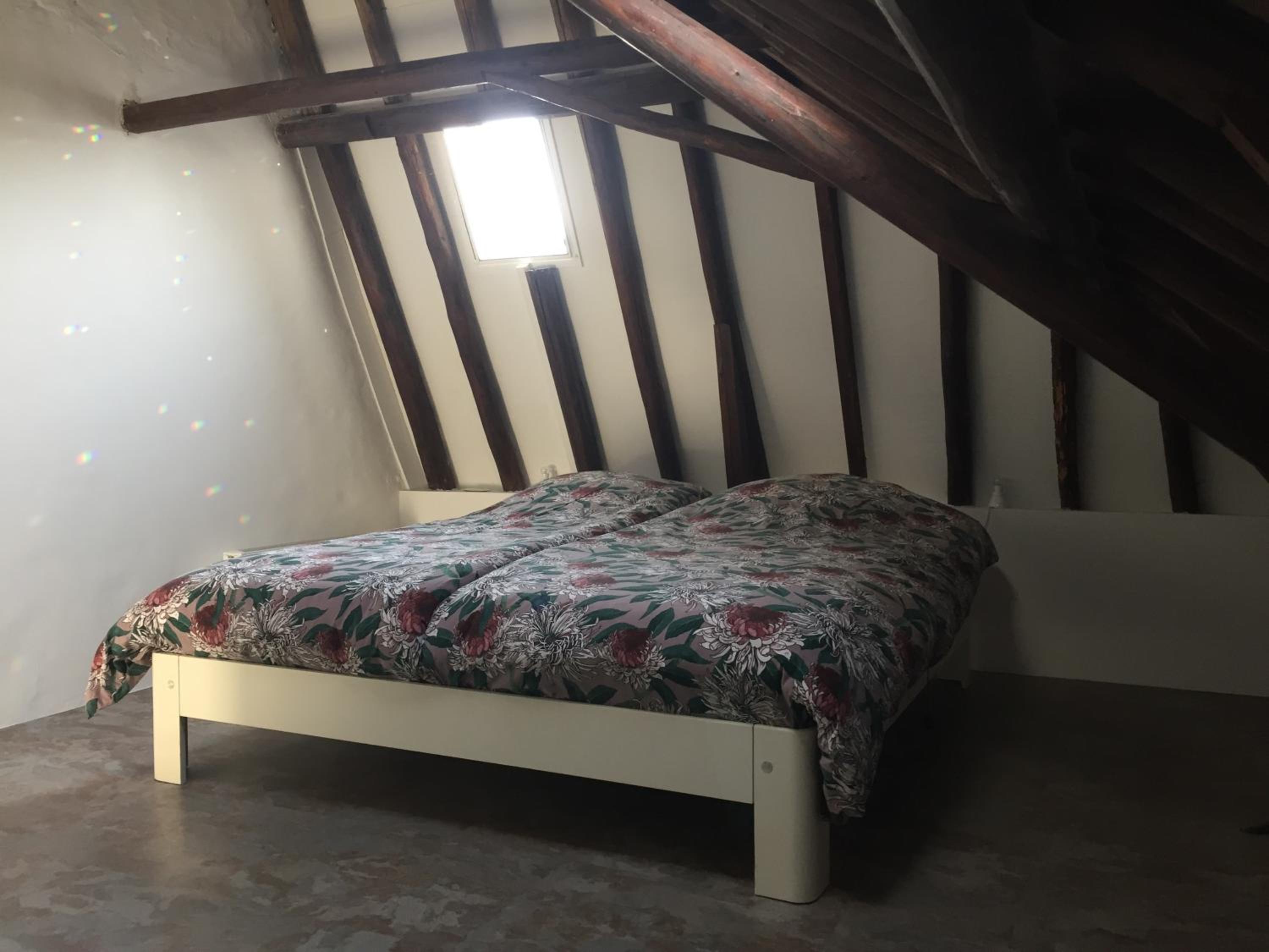 One-Bedroom Apartment with Garden photo 2