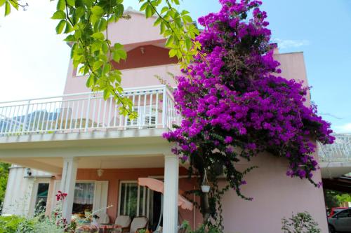 Apartment with Terrace photo 2
