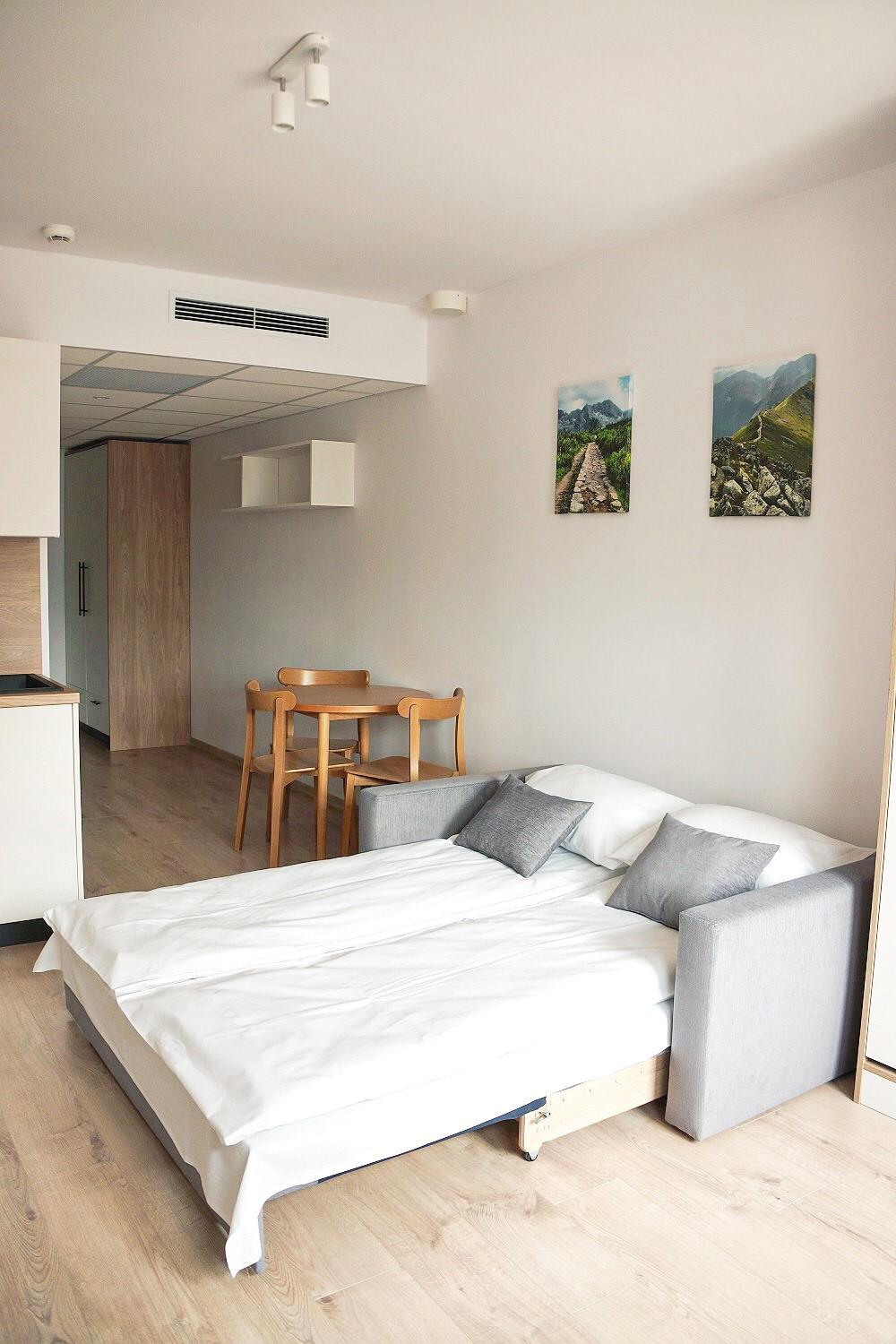 Studio Apartment - Photo 3