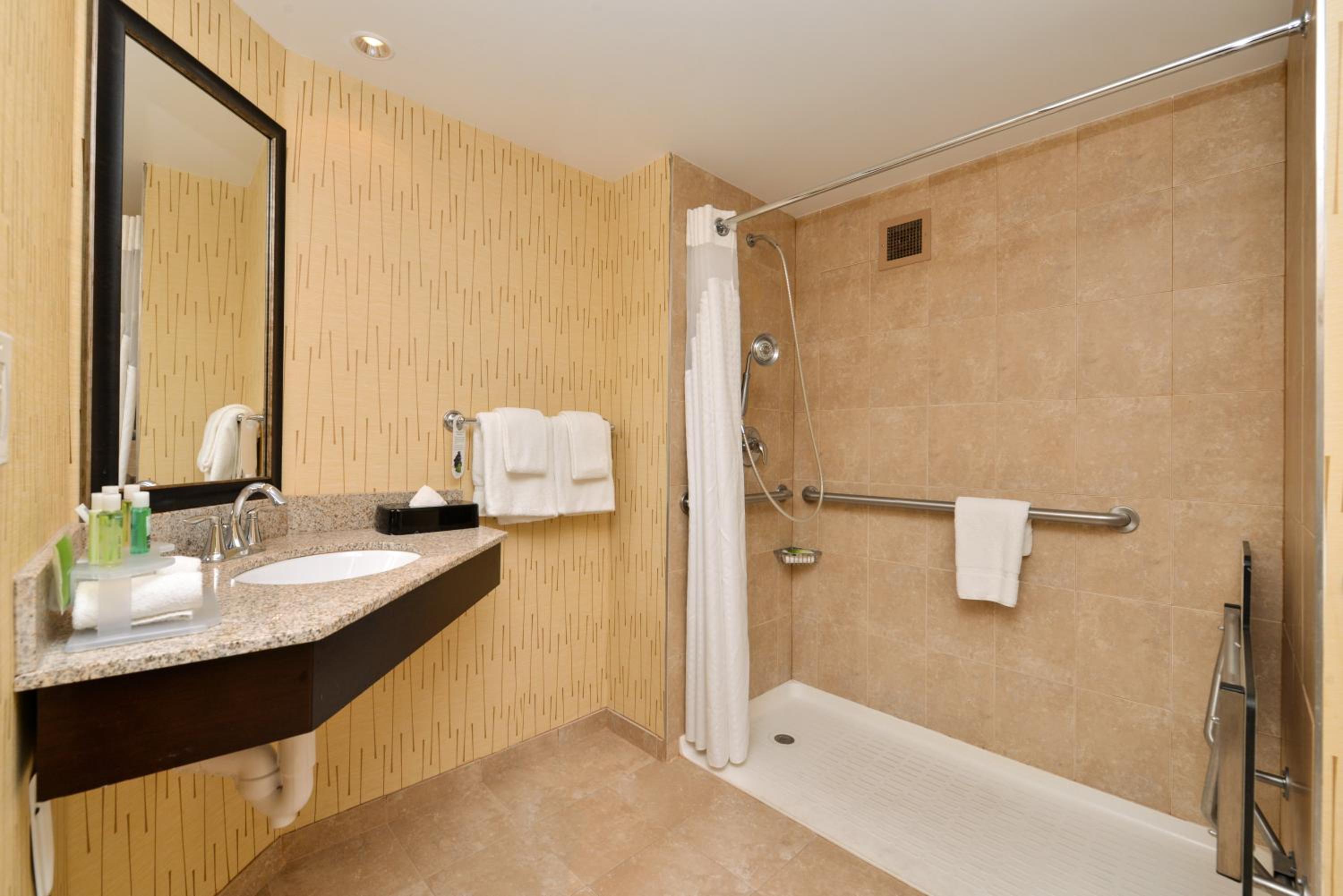 King Room - Mobility Access/Hearing Accessible photo 2