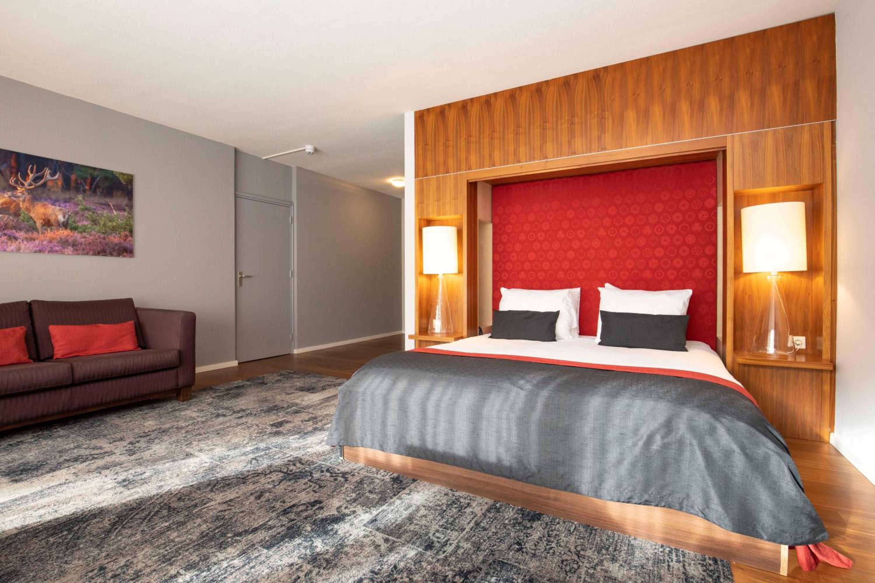 Suite - Photo 1