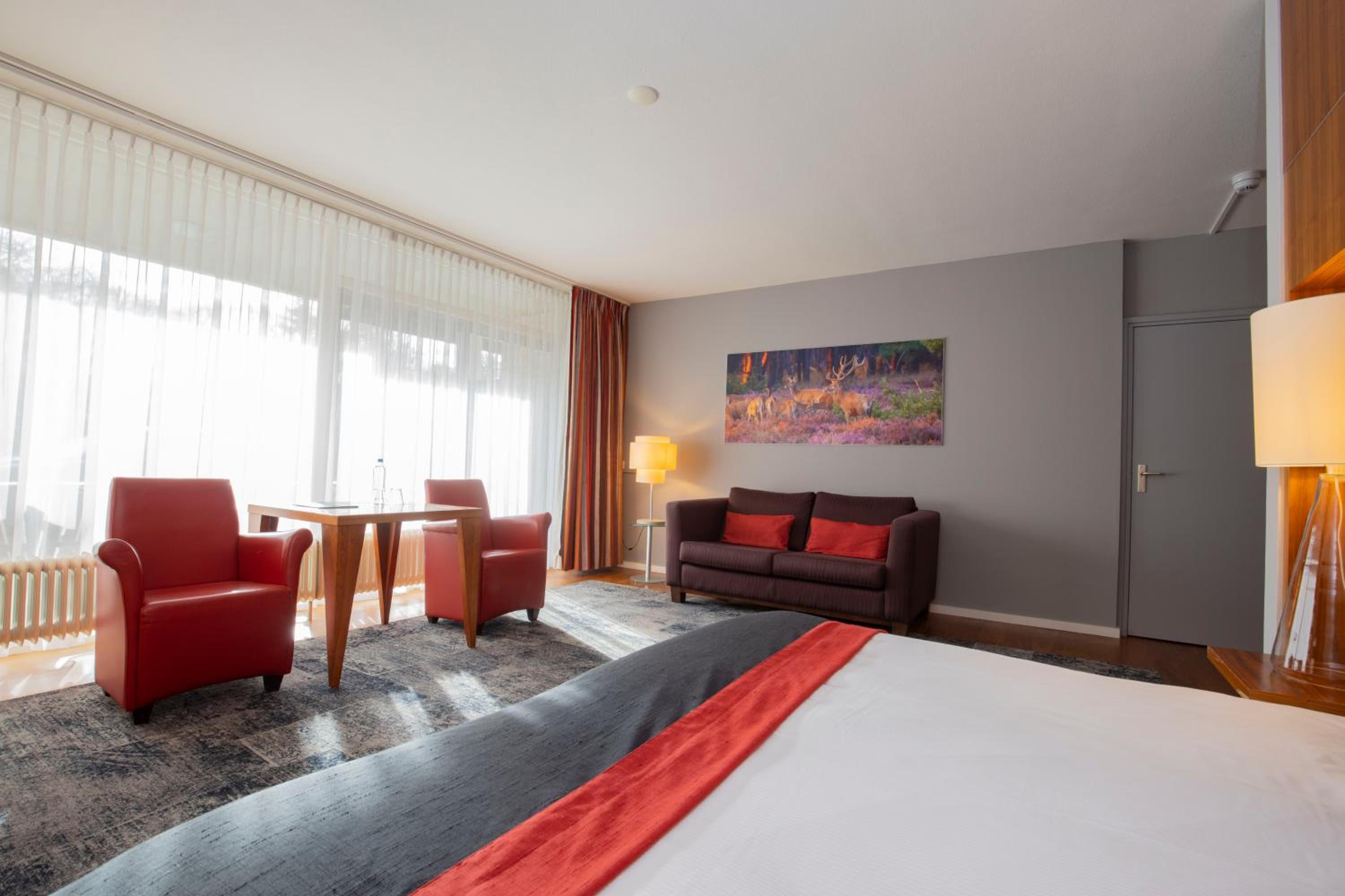 Suite - Photo 2