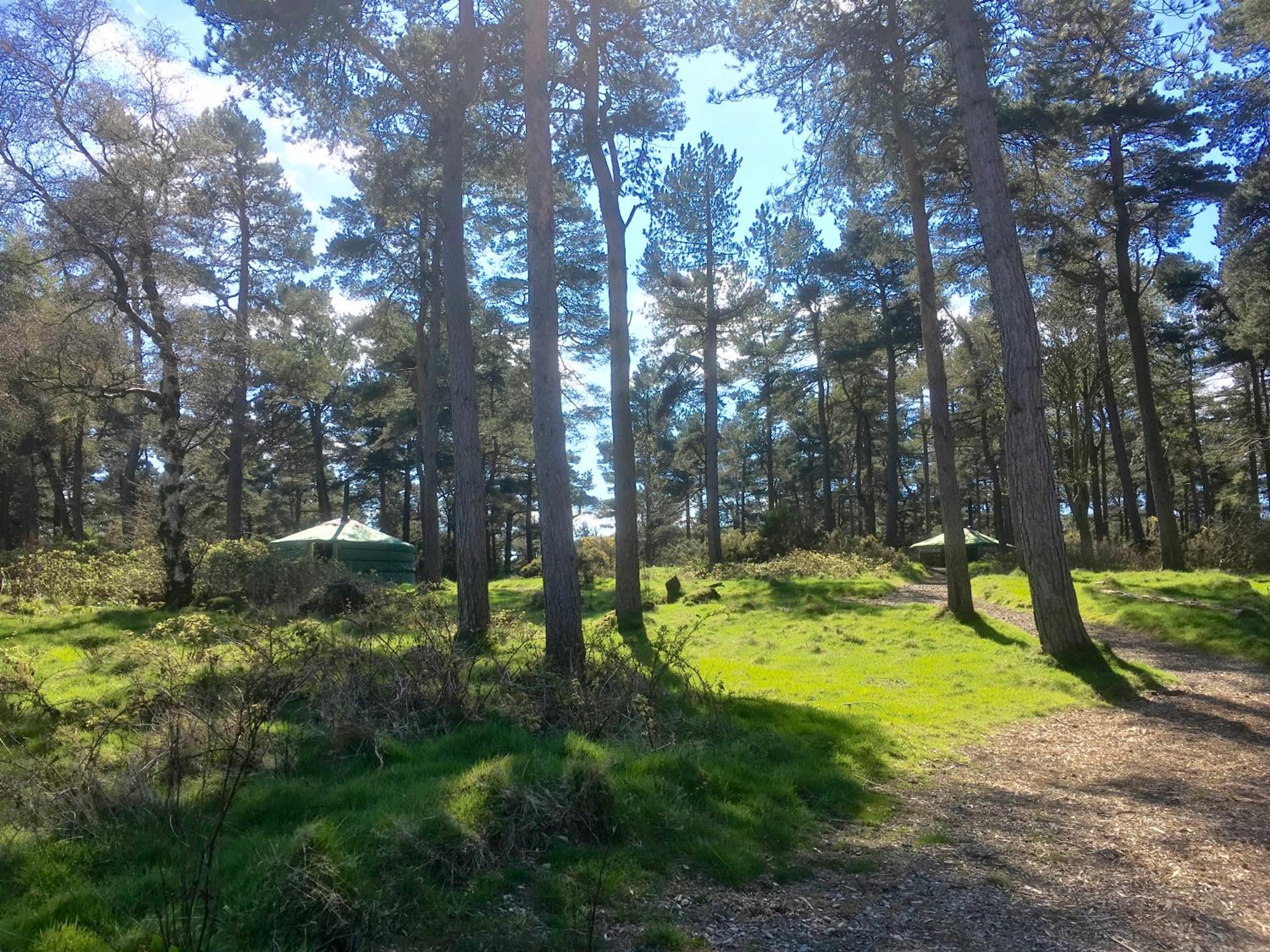 Tent - Photo 11
