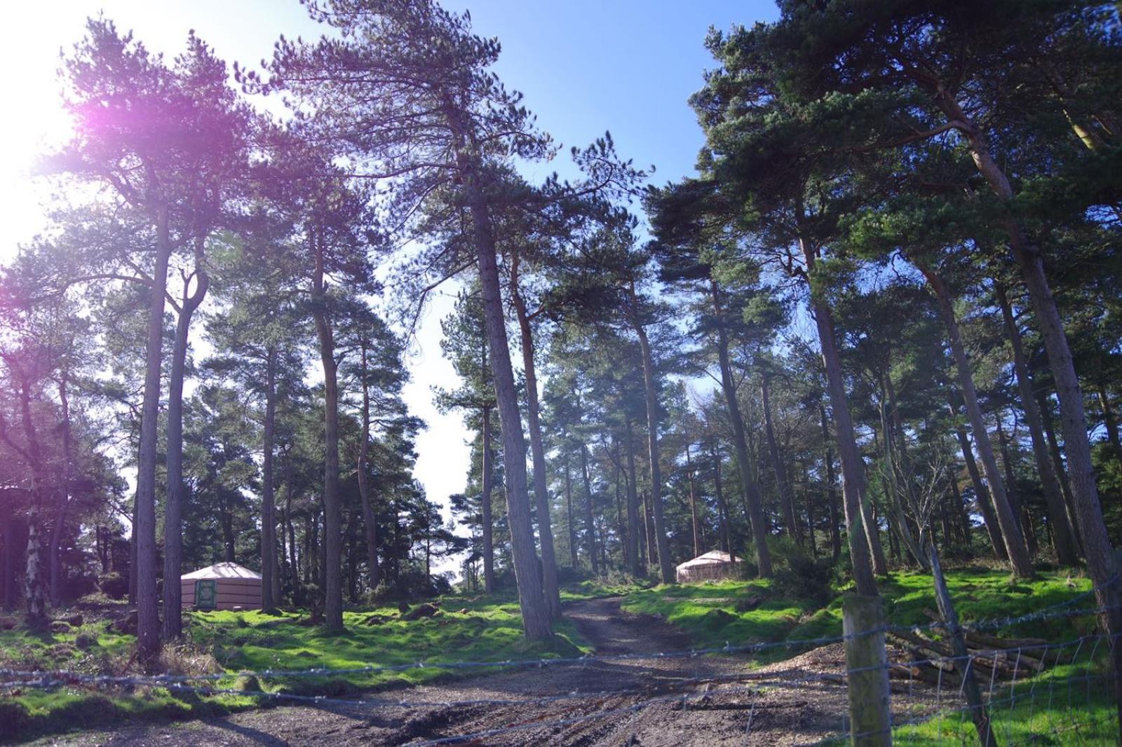 Tent - Photo 19