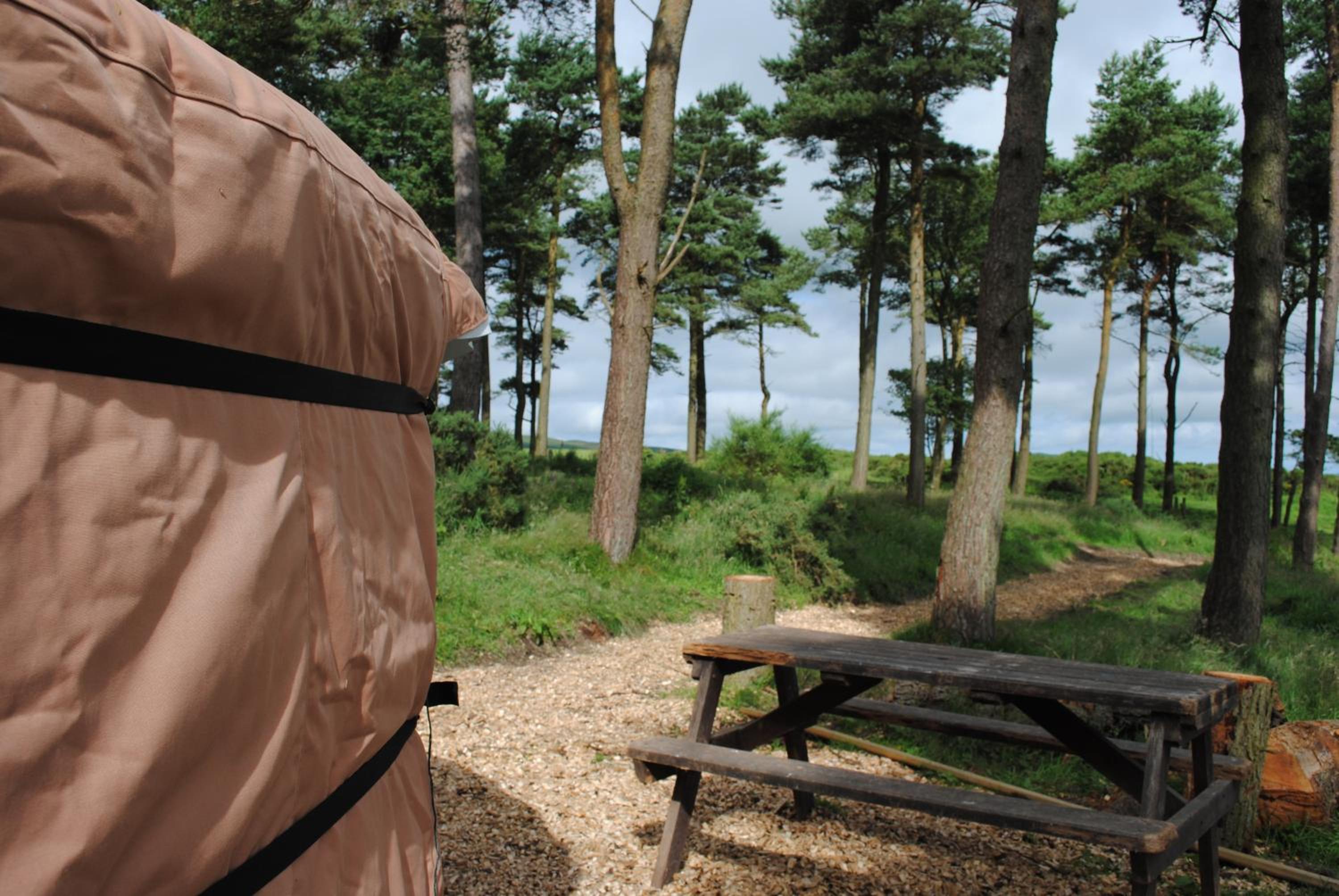Tent - Photo 20