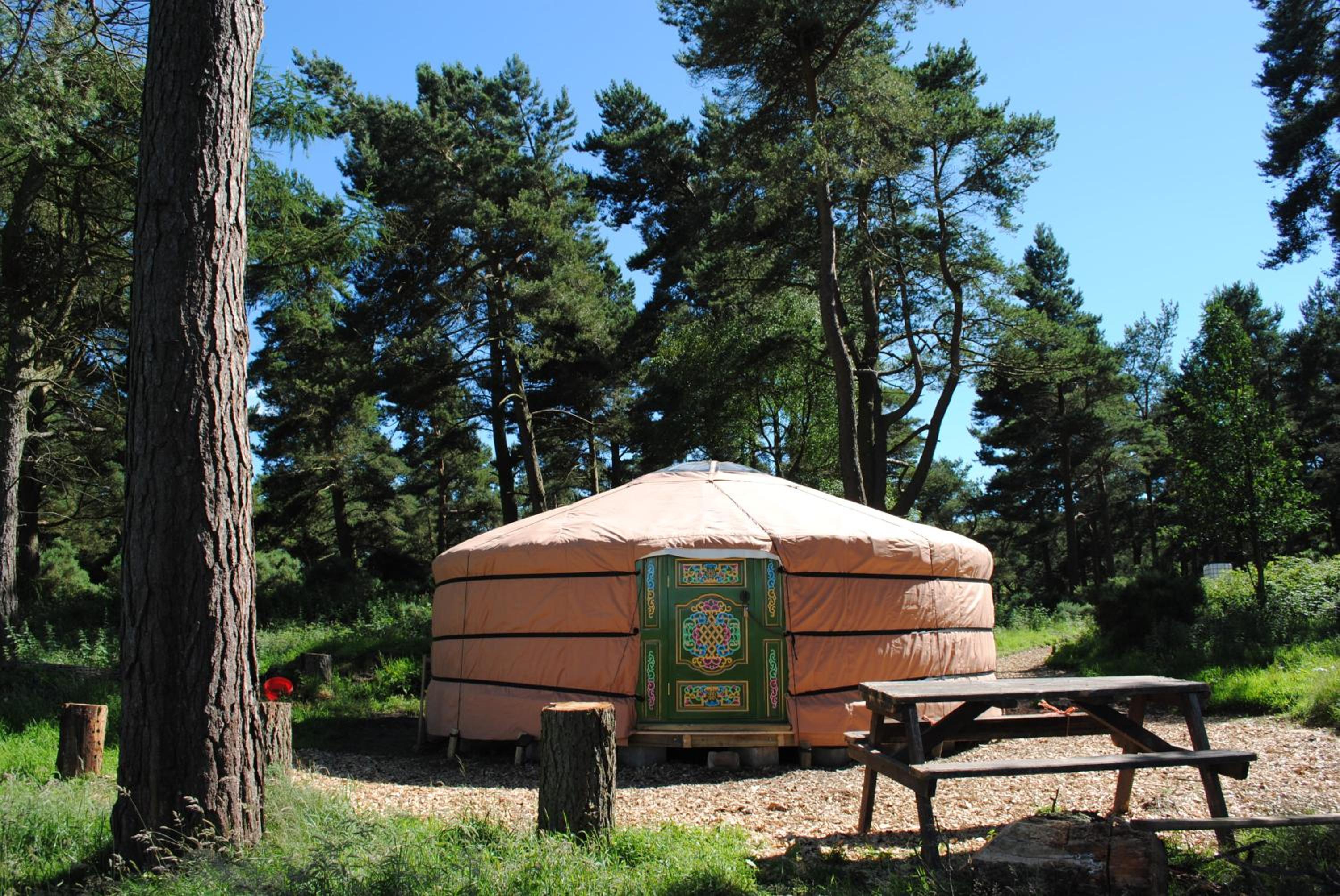 Tent - Photo 10