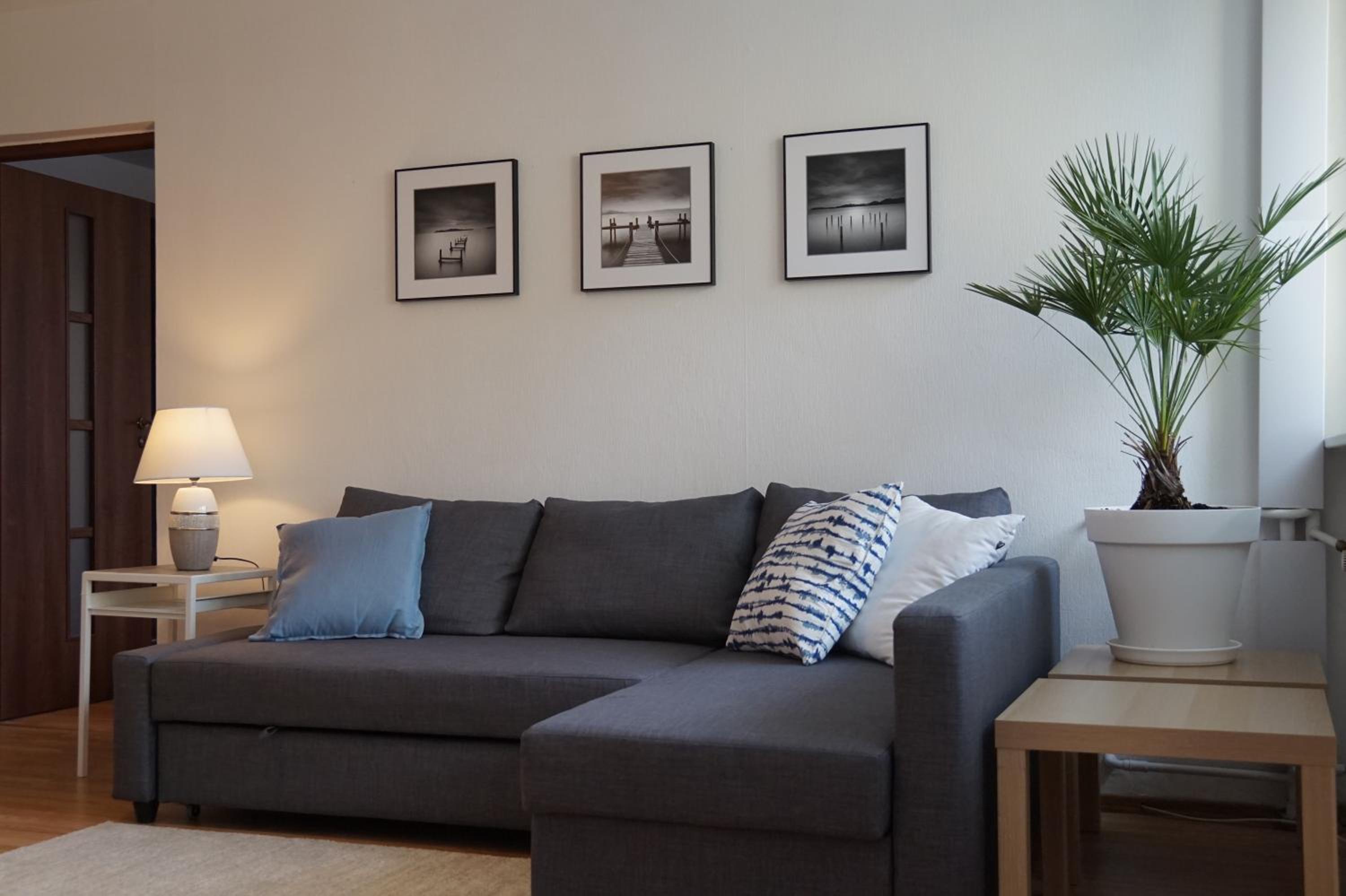 One-Bedroom Apartment photo 2