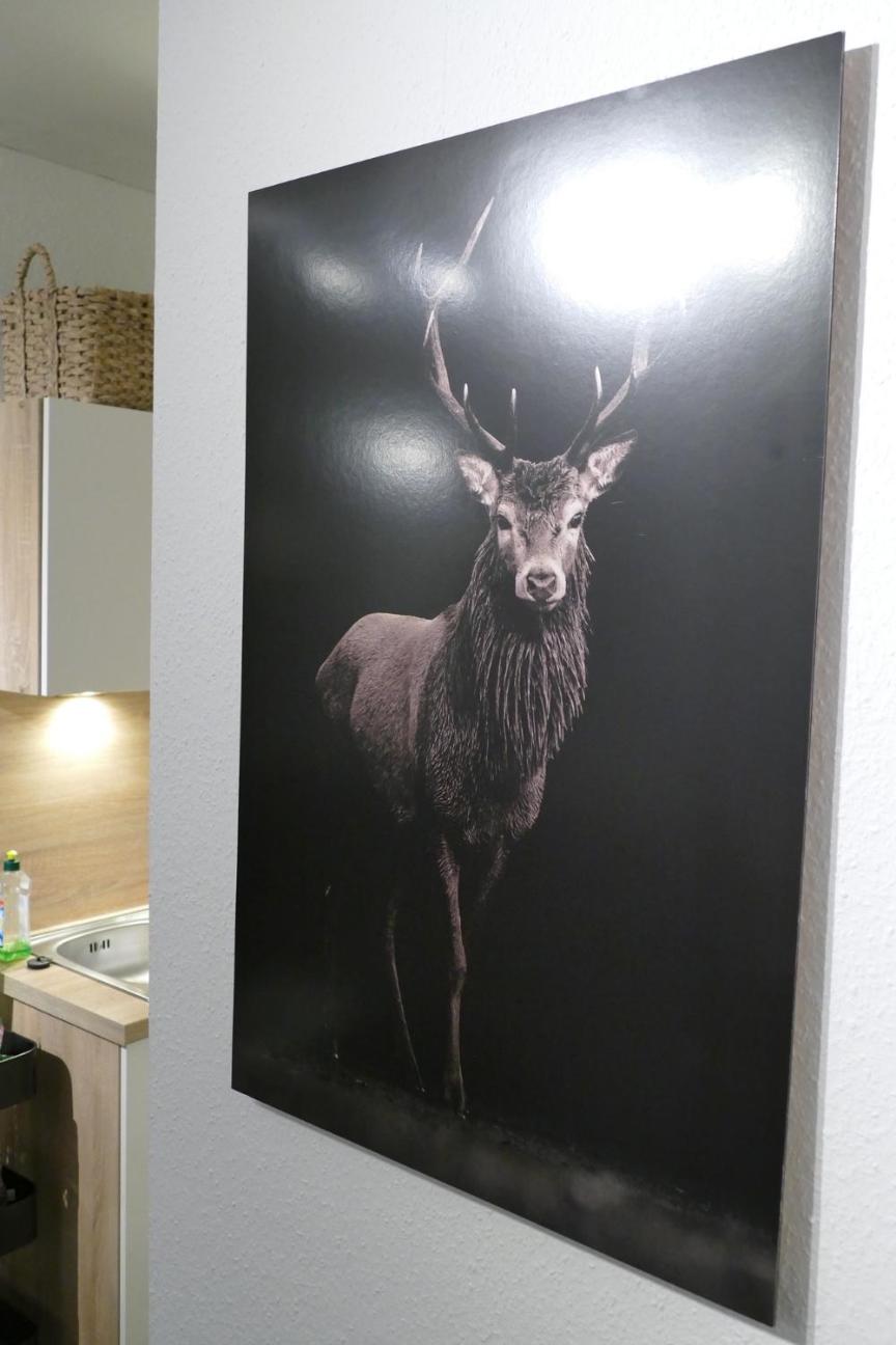 Apartment - Photo 30