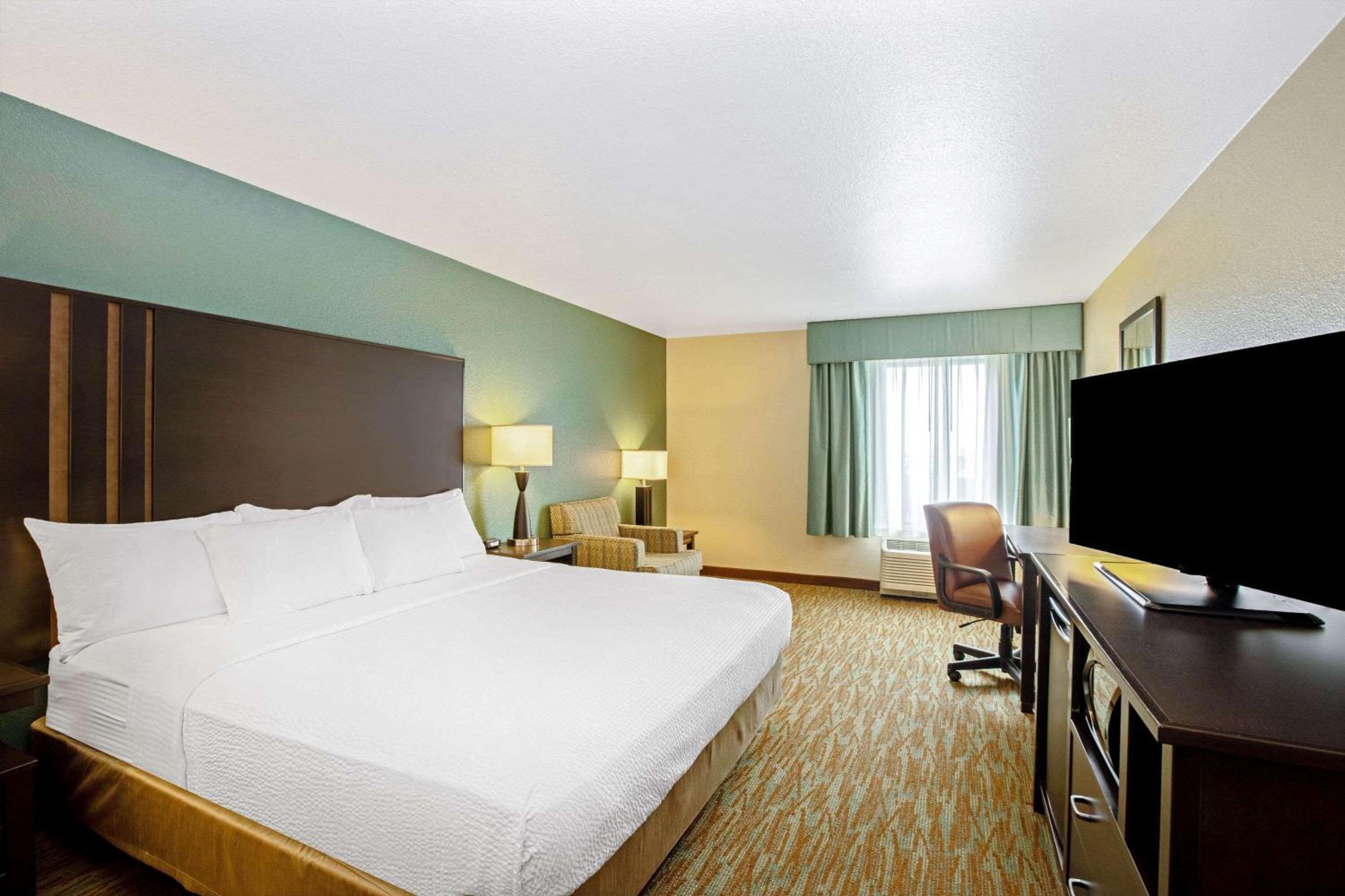 King Room photo 1