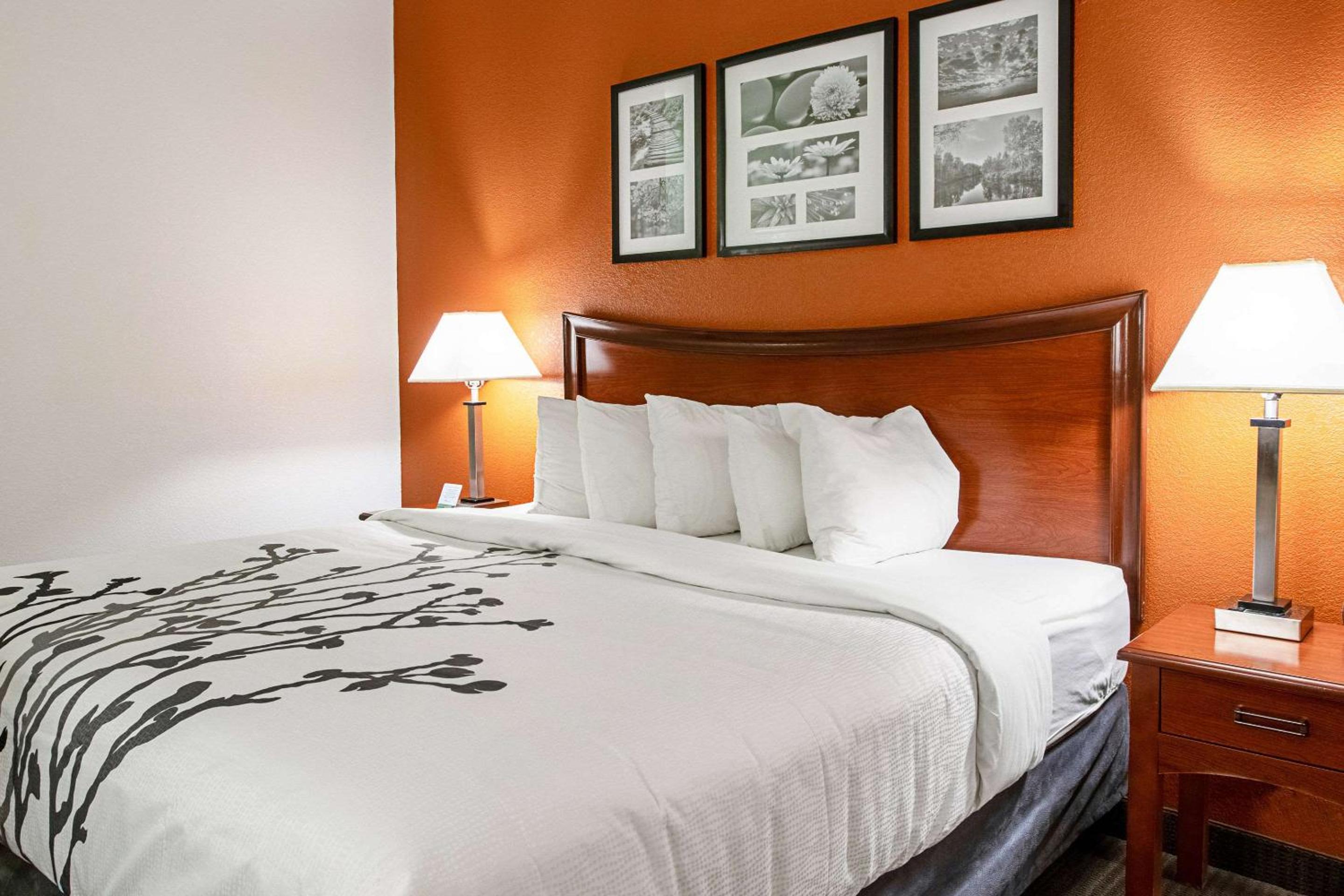 King Room - Non-Smoking - Photo 1