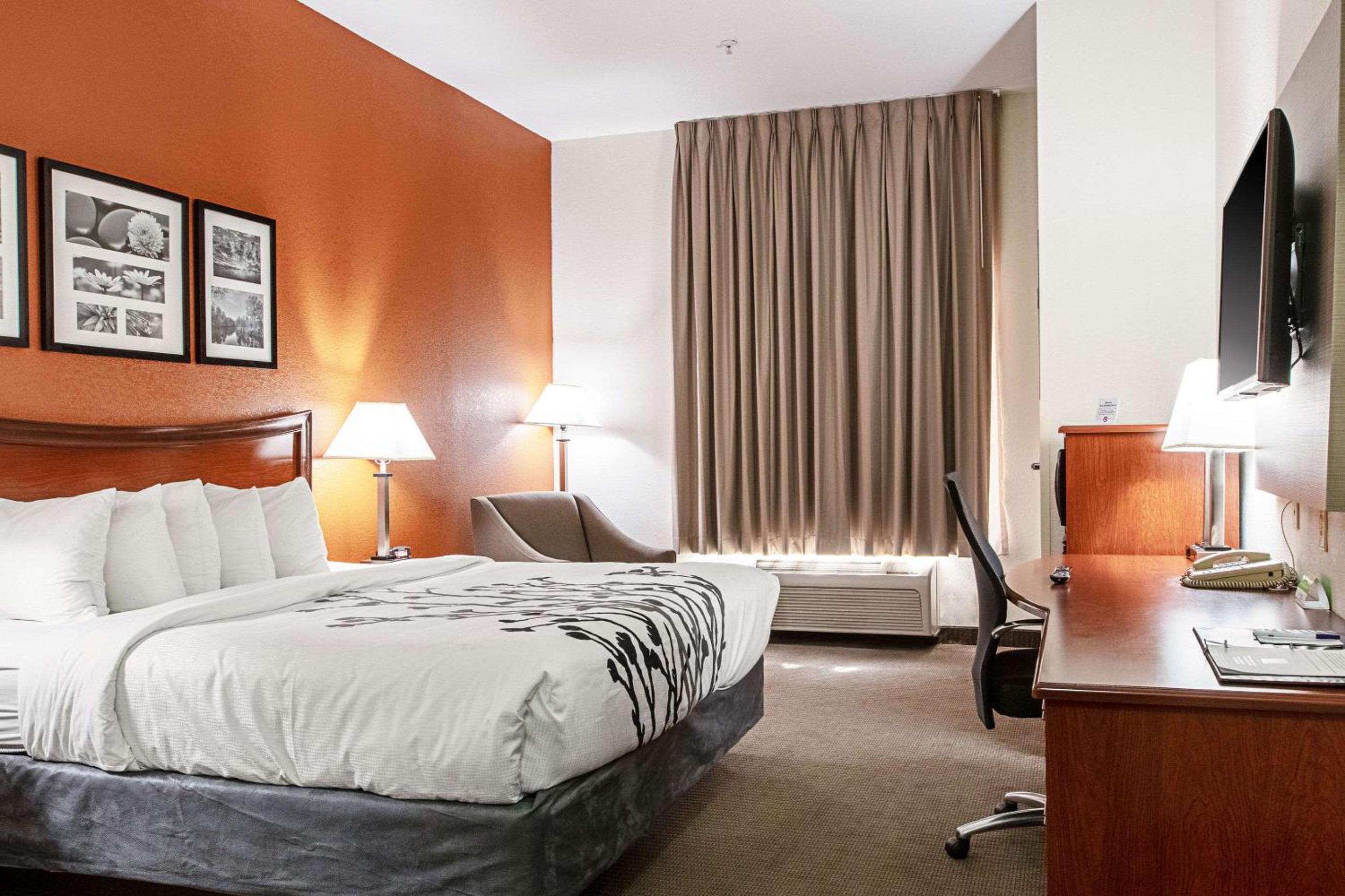 King Room - Non-Smoking - Photo 3