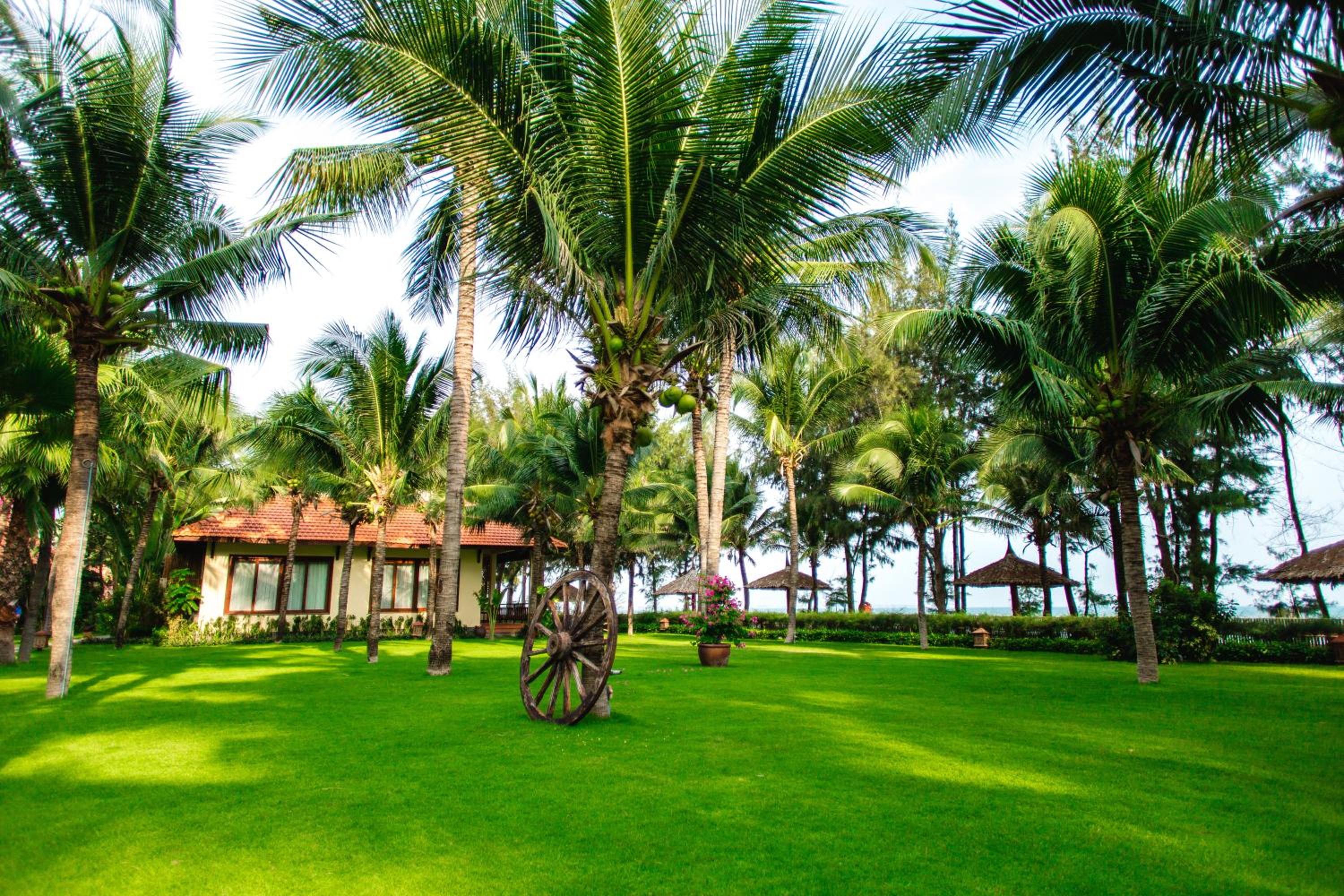 Beach Front Villa Double - Photo 4