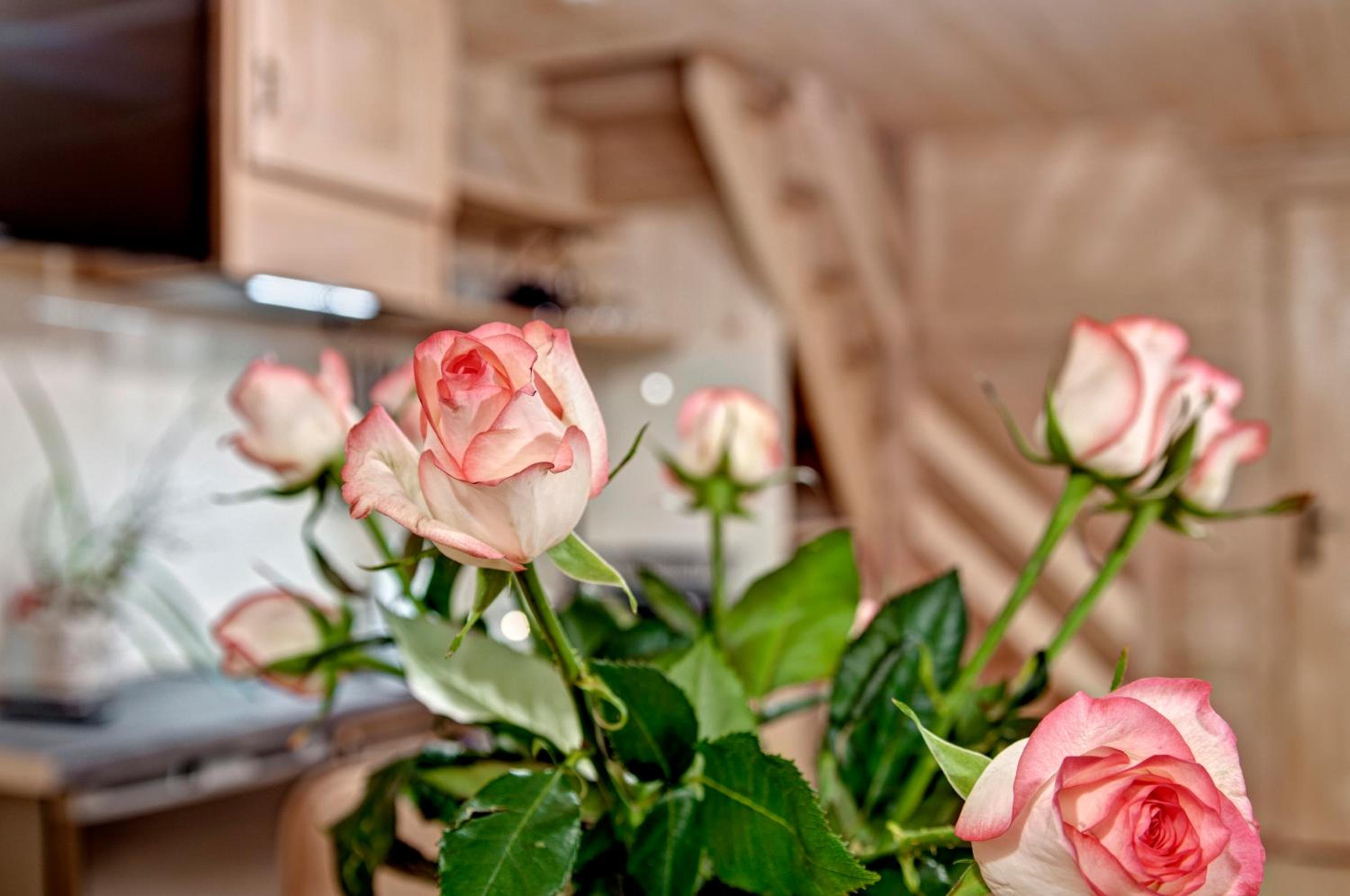 Maisonette - Photo 8