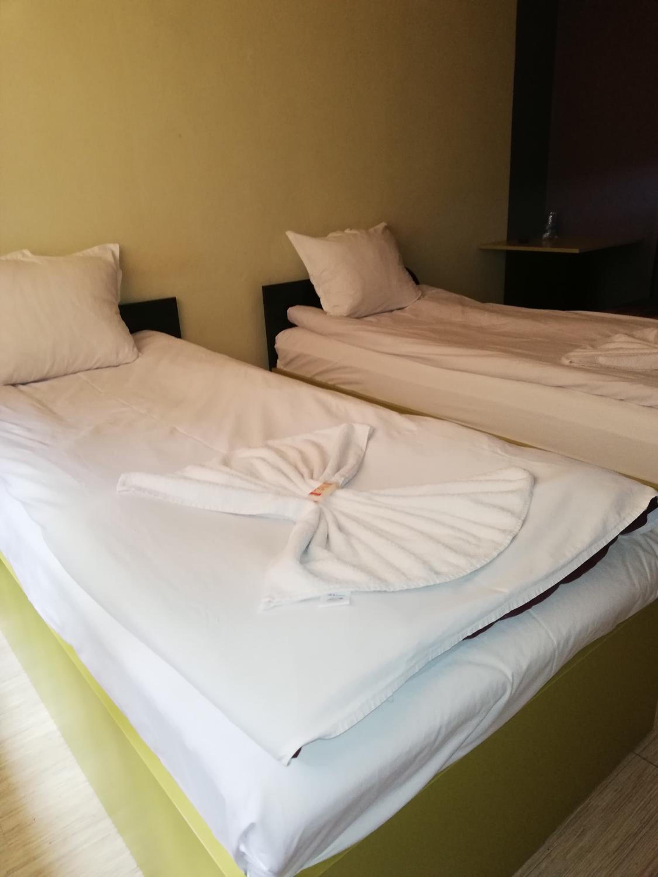 Deluxe Double or Twin Room with City View - Photo 1