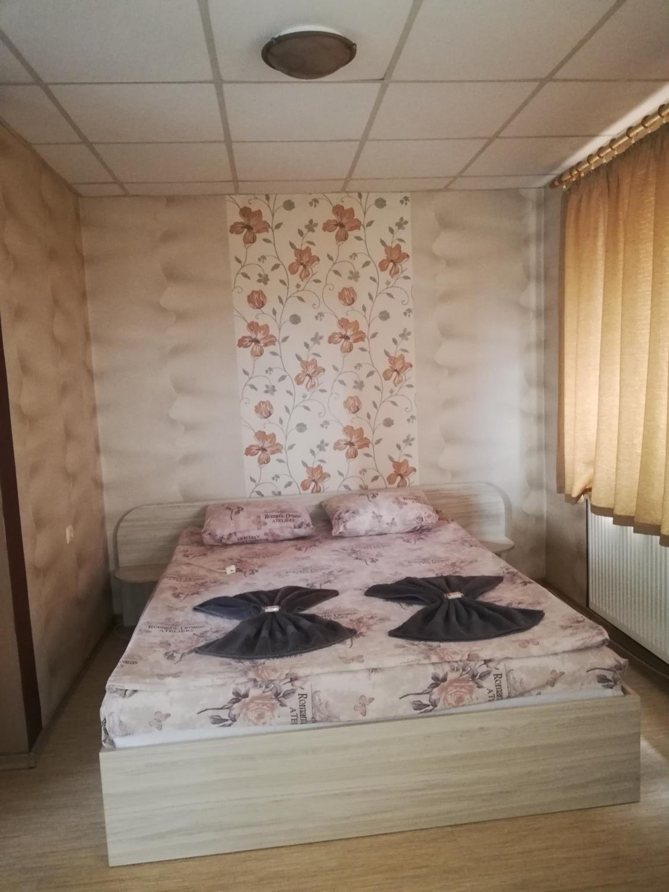 Family Suite - Photo 4