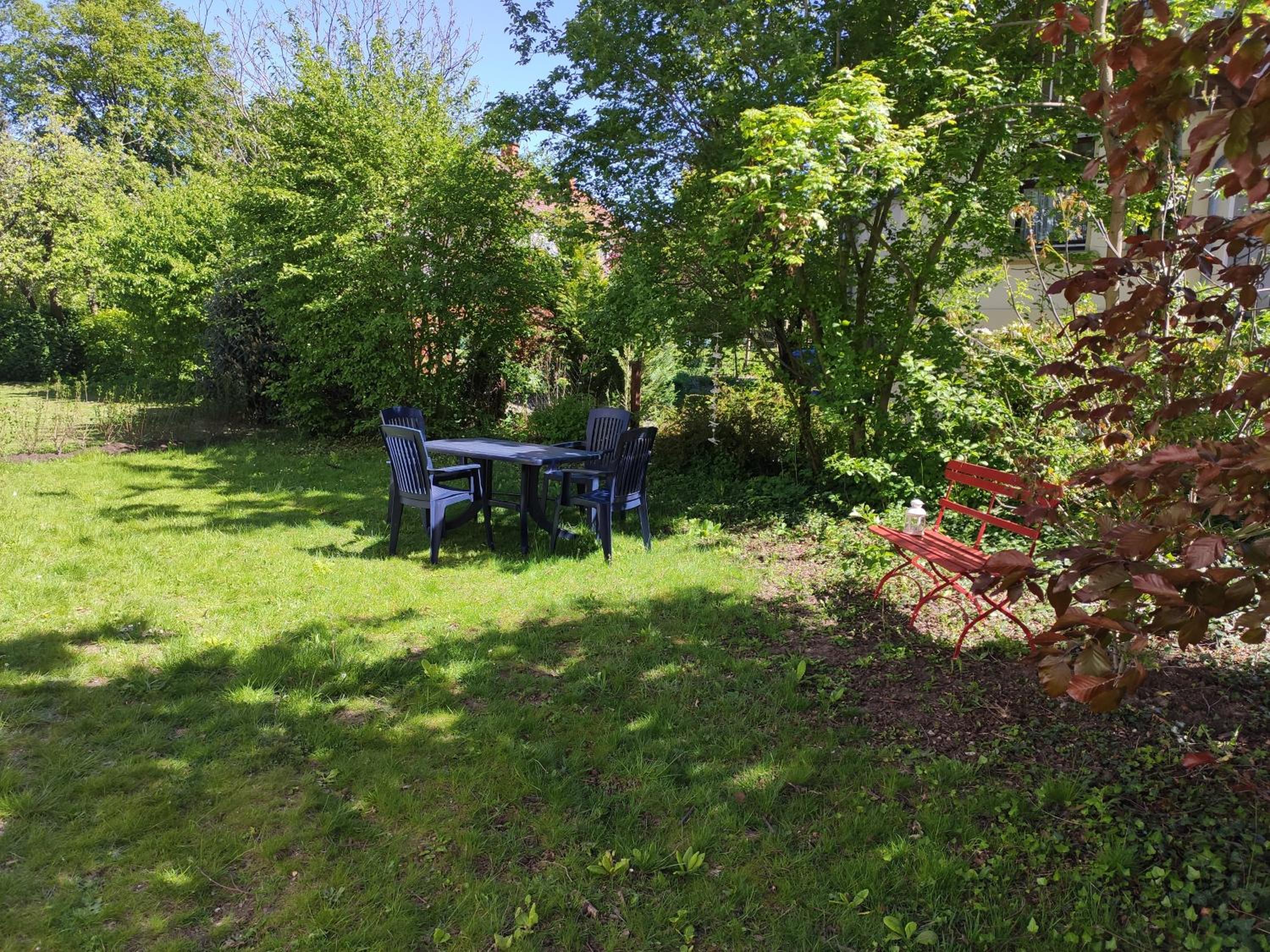 Superior Apartment photo 3