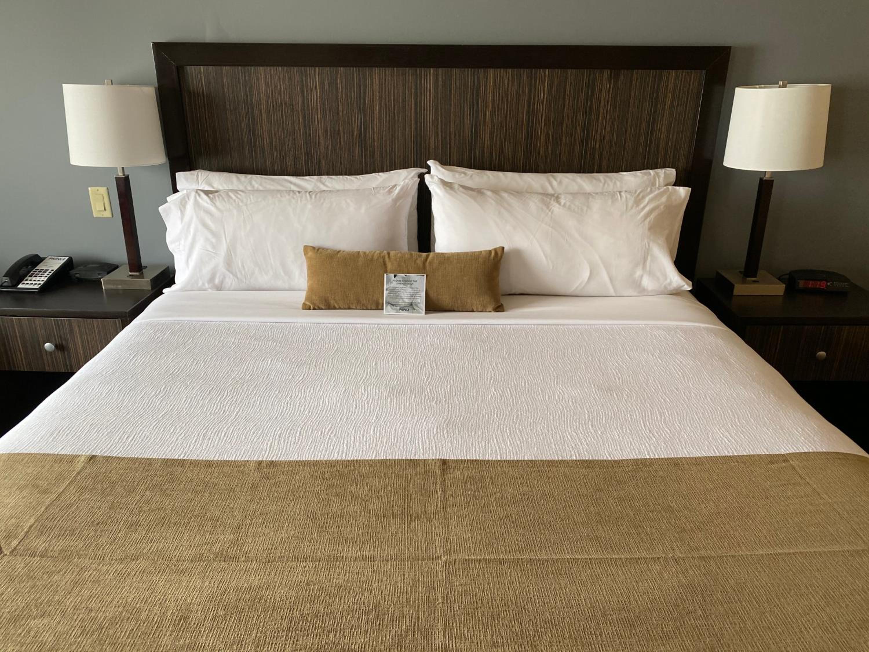 King Room - Photo 6