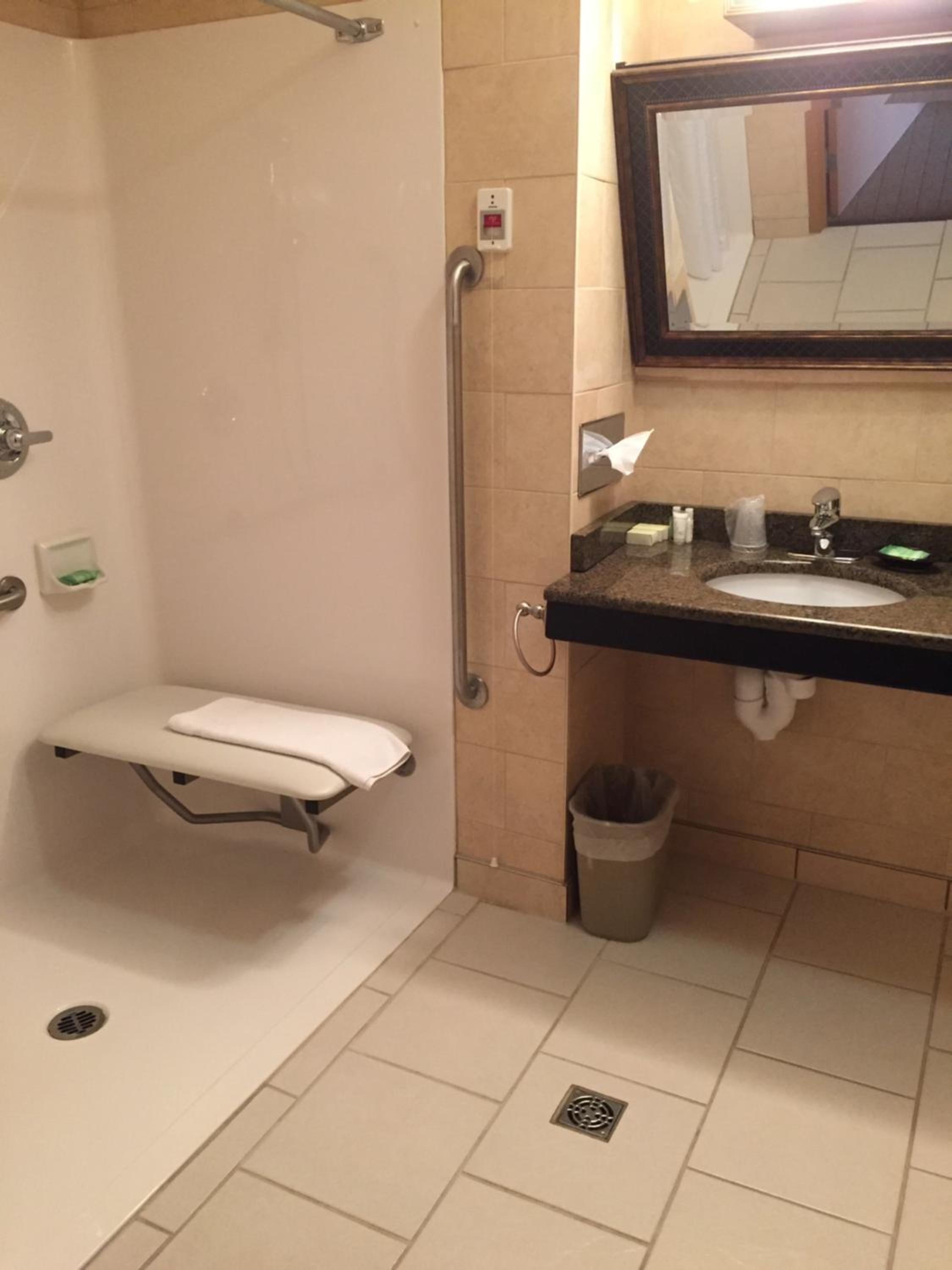 King Room with Roll-In Shower - Disability Access