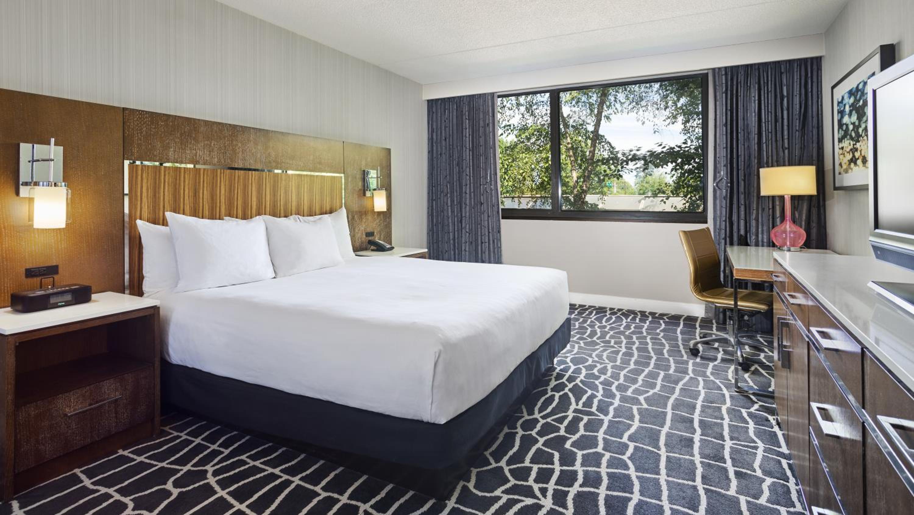 Deluxe King Room - Photo 6