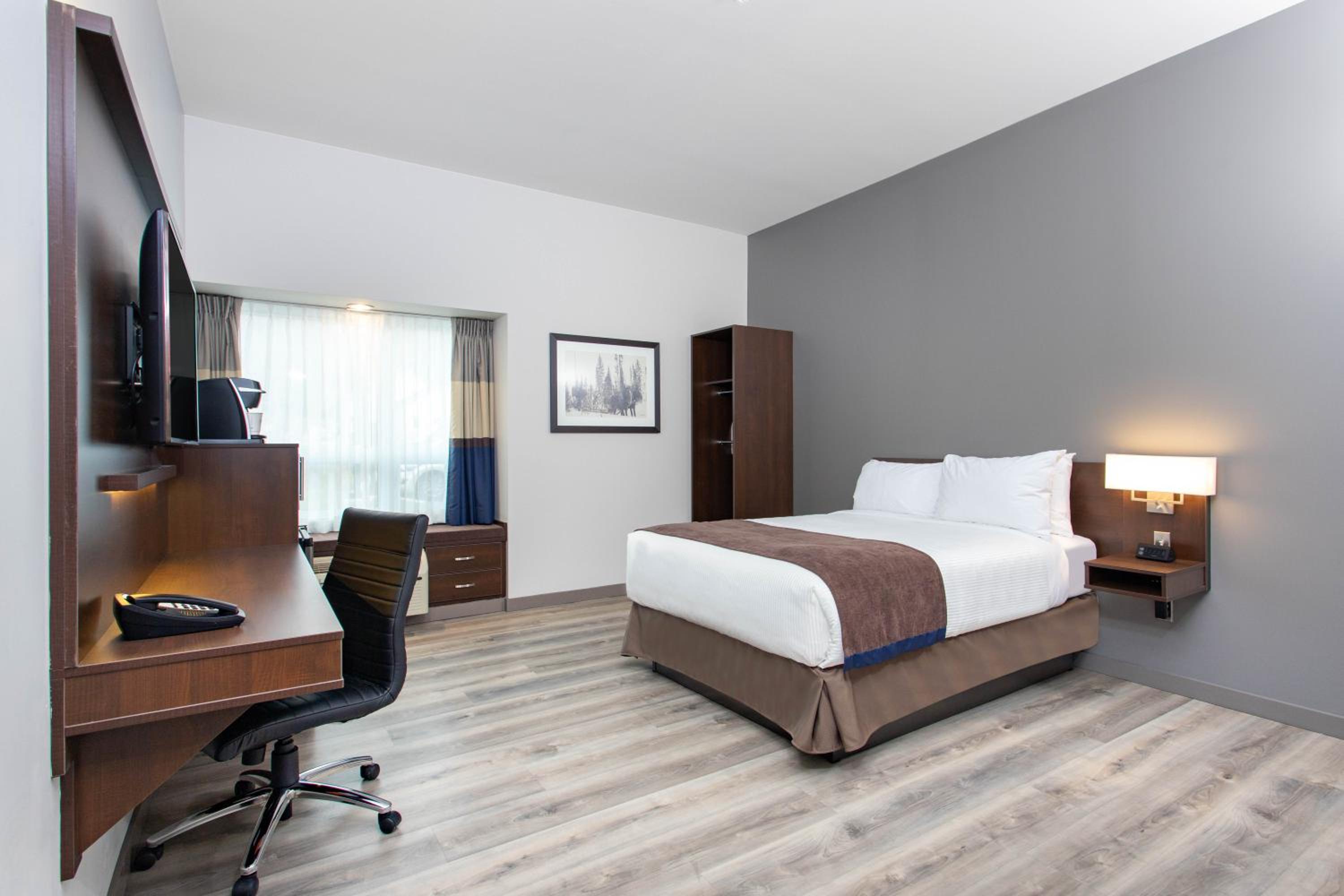 Queen Room with Roll-In Shower - Mobility Accessible/Non-Smoking - Photo 1
