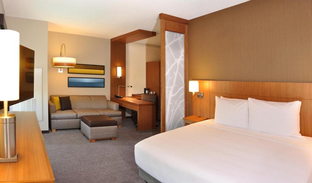 Specialty King Room with Sofa Bed photo 2