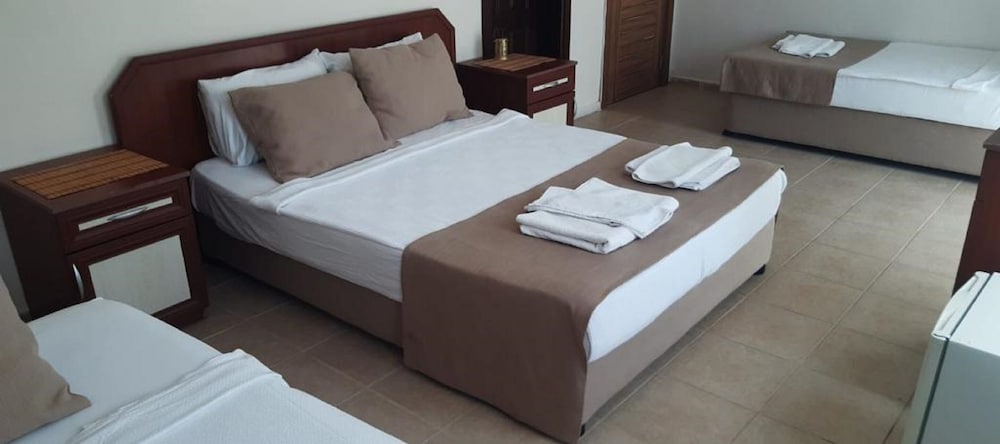Standard Room, Mountain View