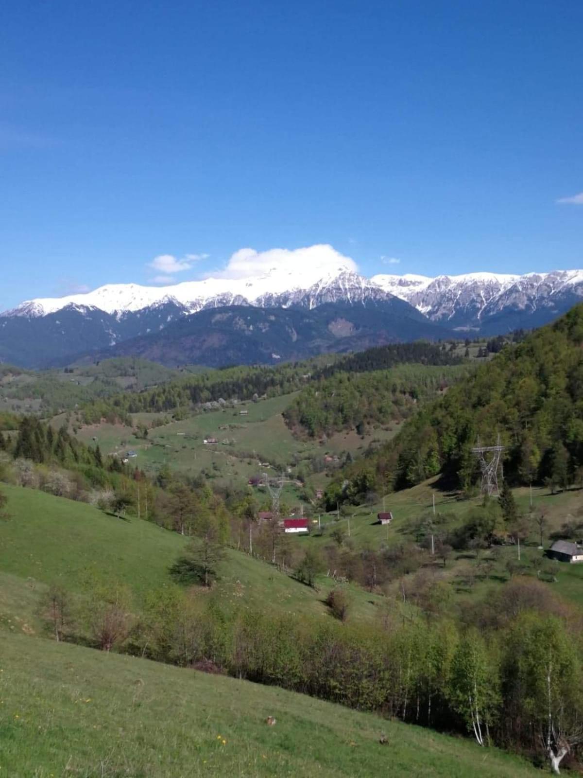 Double Room with Mountain View photo 2