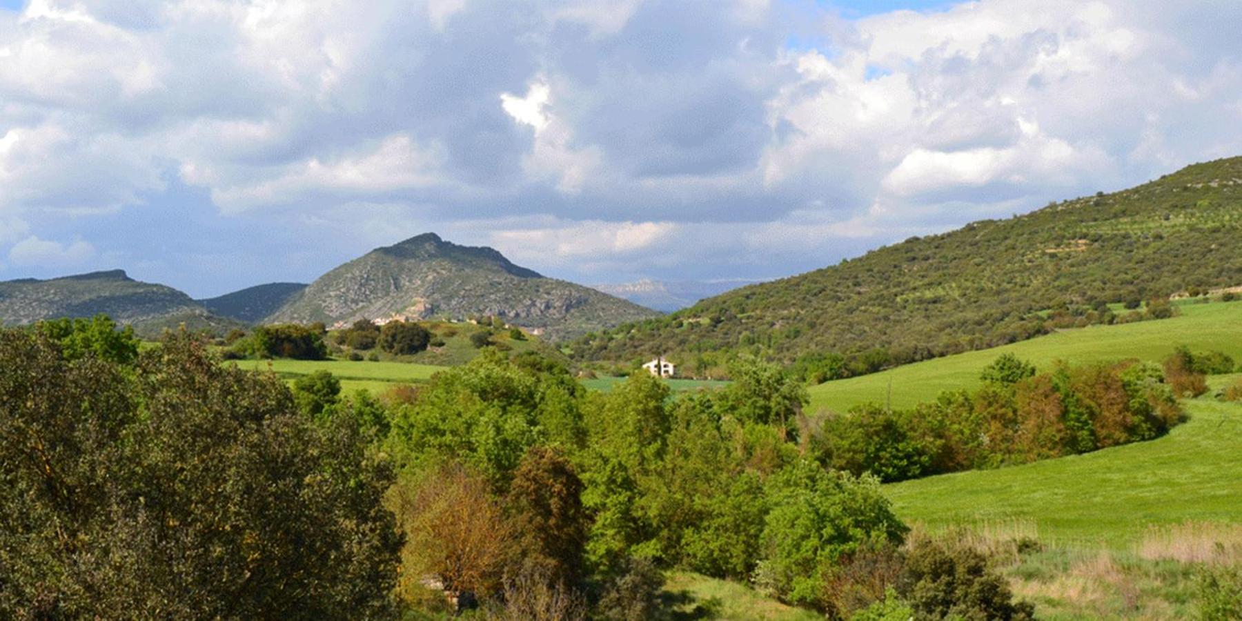 Habitación Doble con Vista a la Montaña