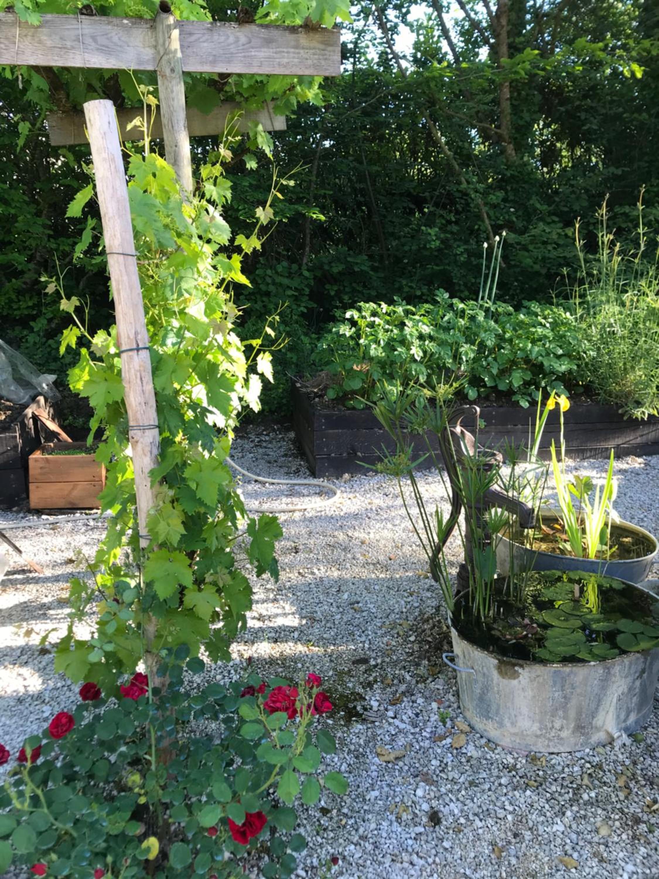 Double Room with Garden View - Photo 3