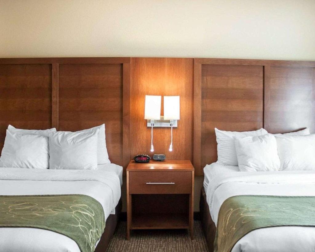 Queen Suite with Two Queen Beds - Accessible/Non-Smoking - Photo 2
